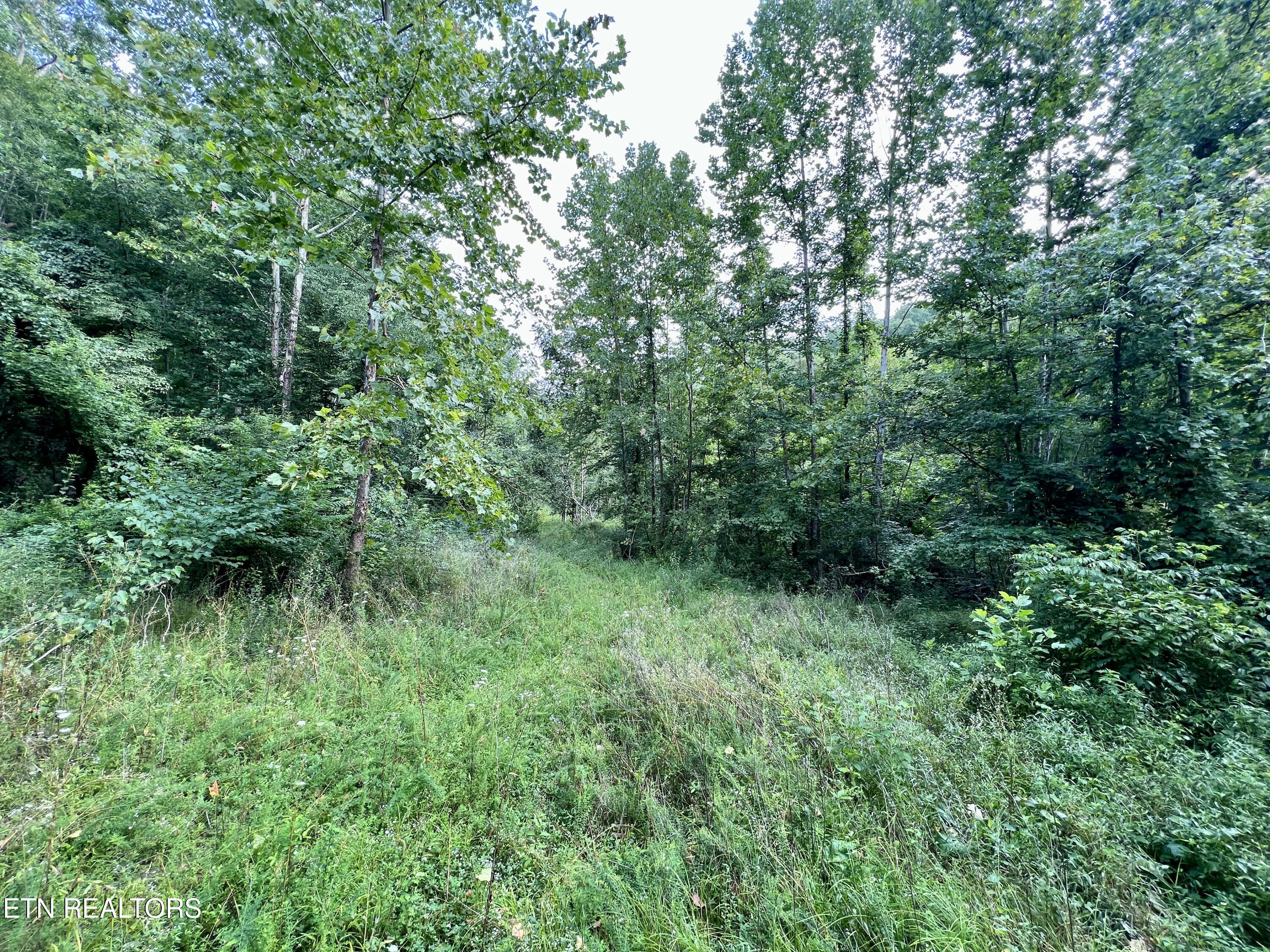 Wool Lane Jellico TN 37762