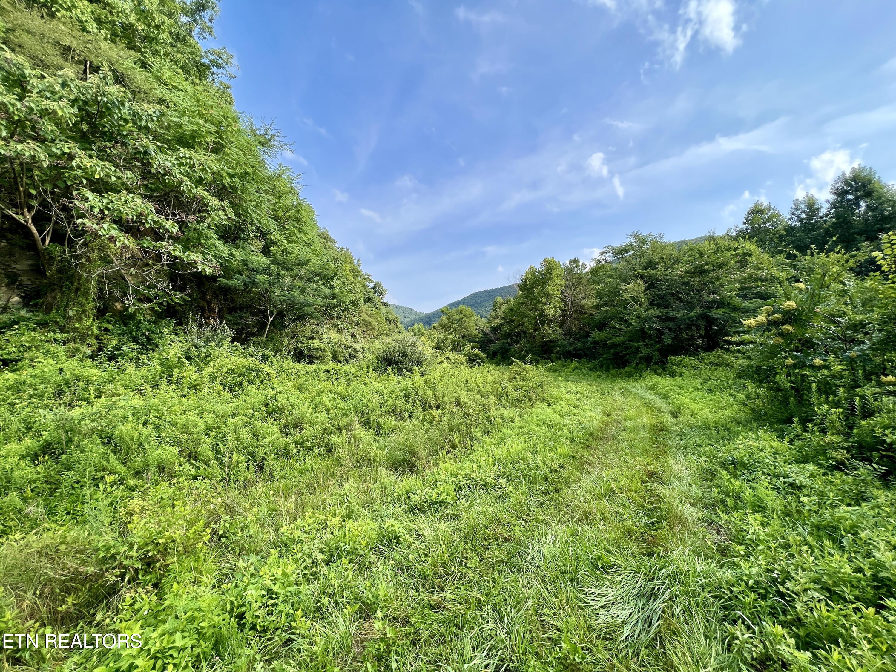 Wool Lane Jellico TN 37762