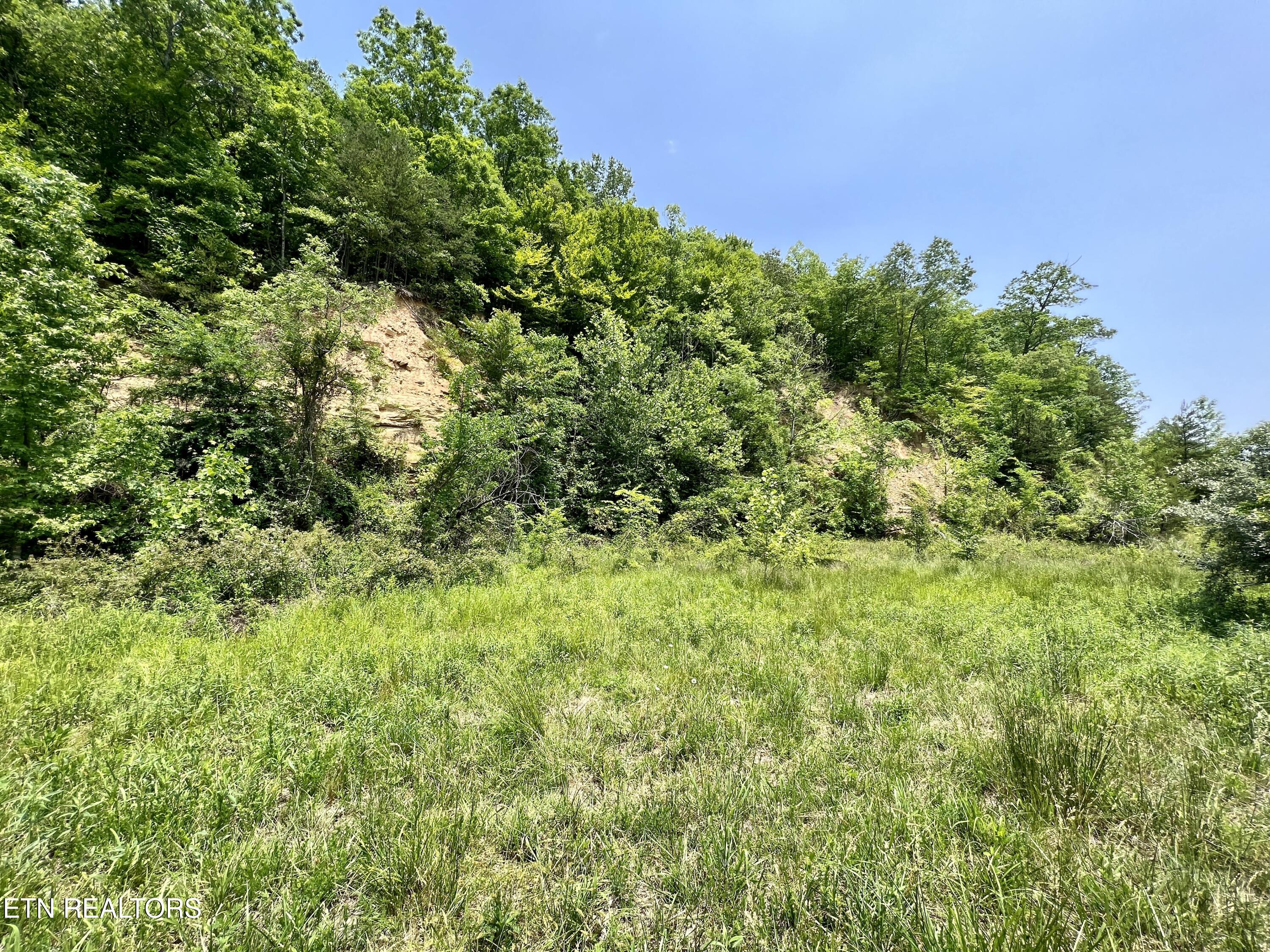 Wool Lane Jellico TN 37762