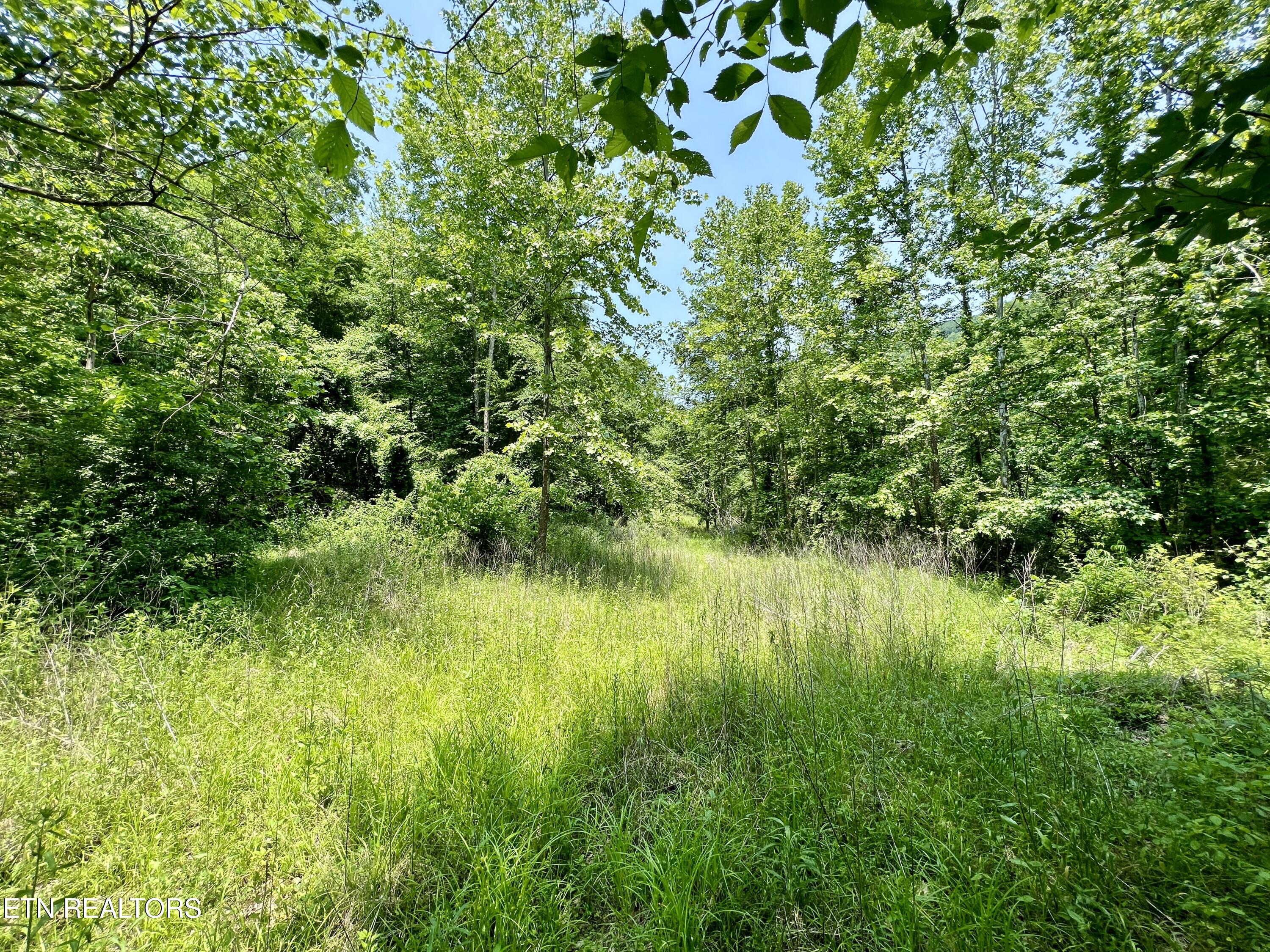 Wool Lane Jellico TN 37762