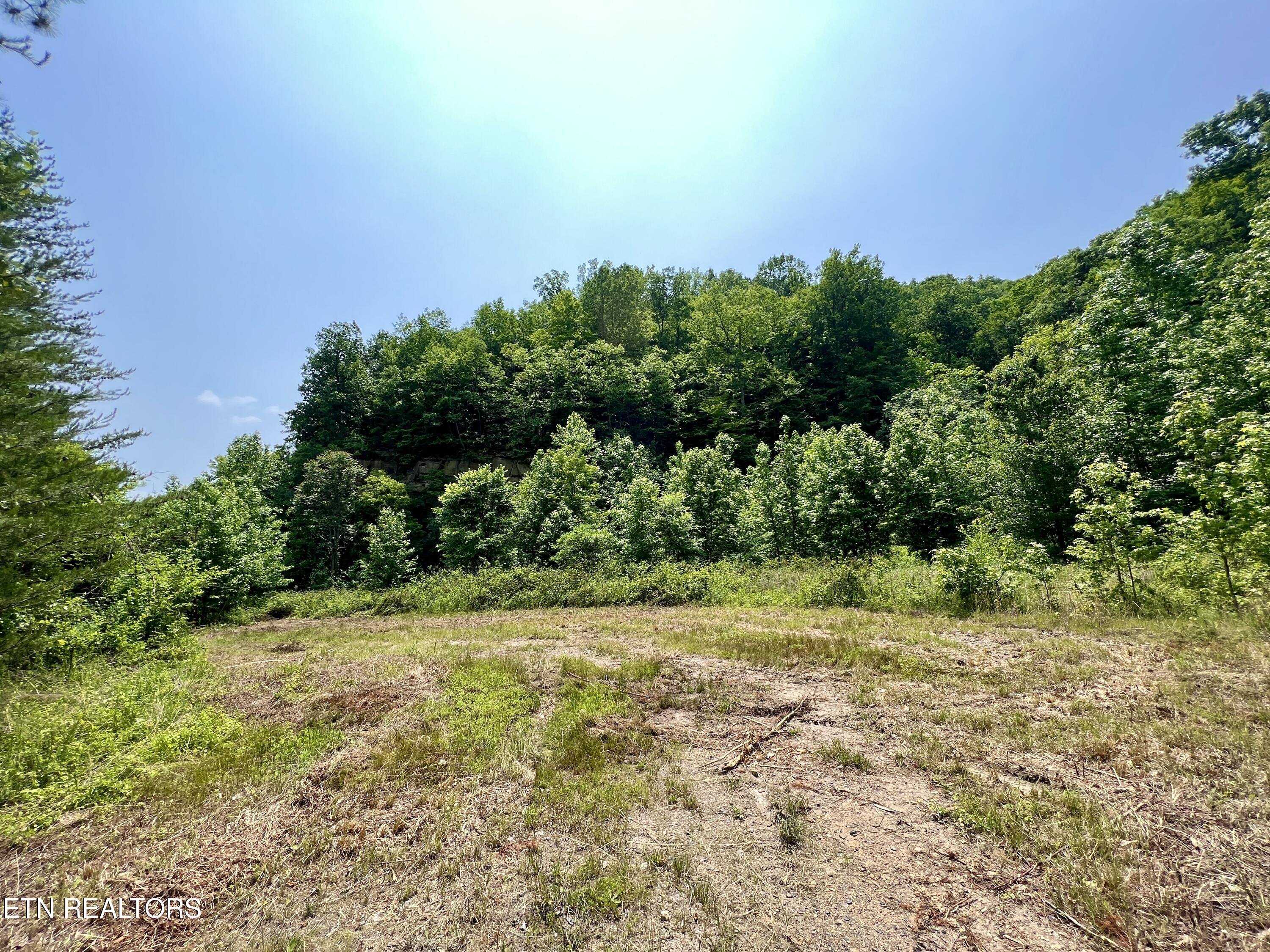 Wool Lane Jellico TN 37762