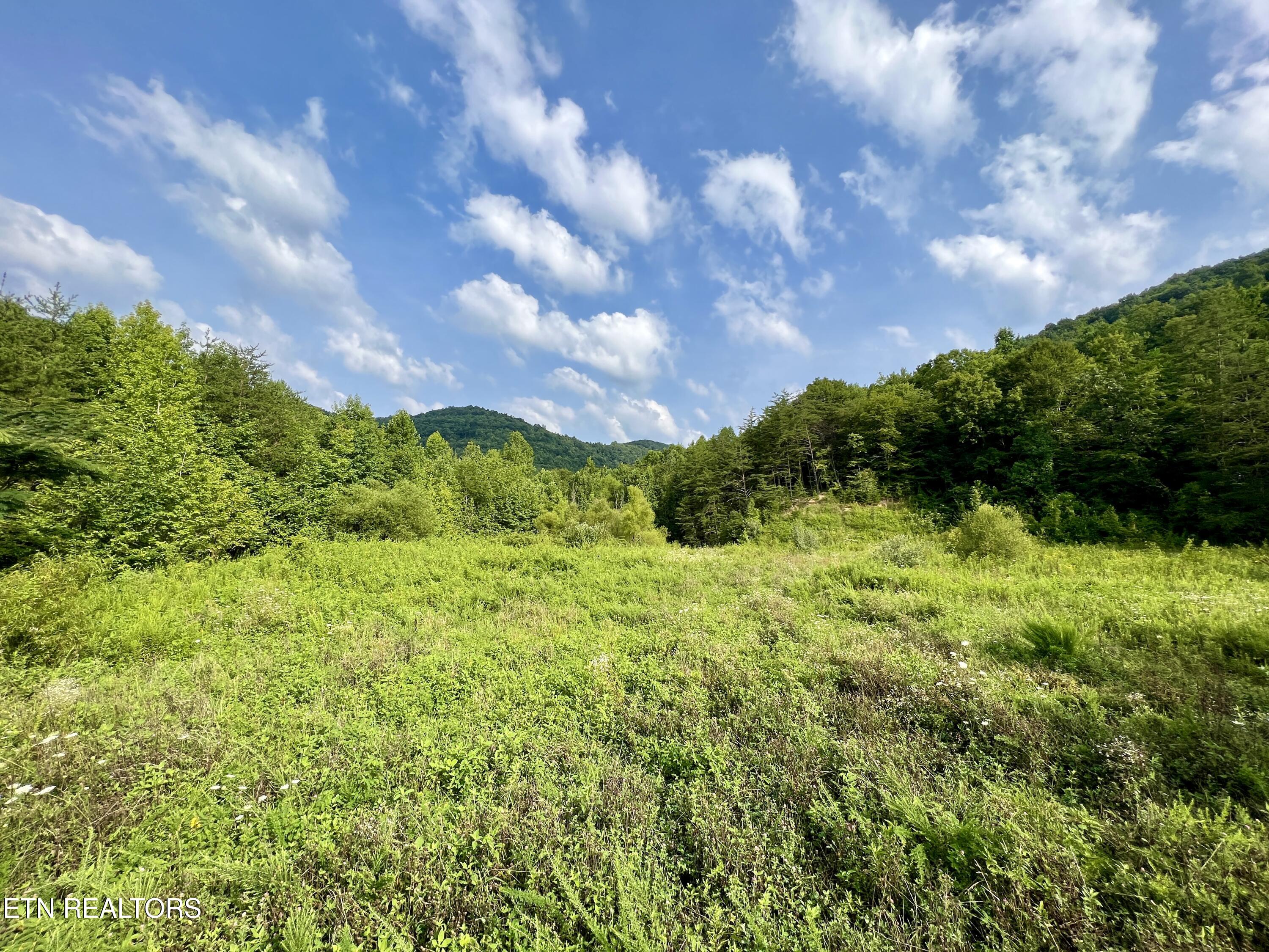 Wool Lane Jellico TN 37762