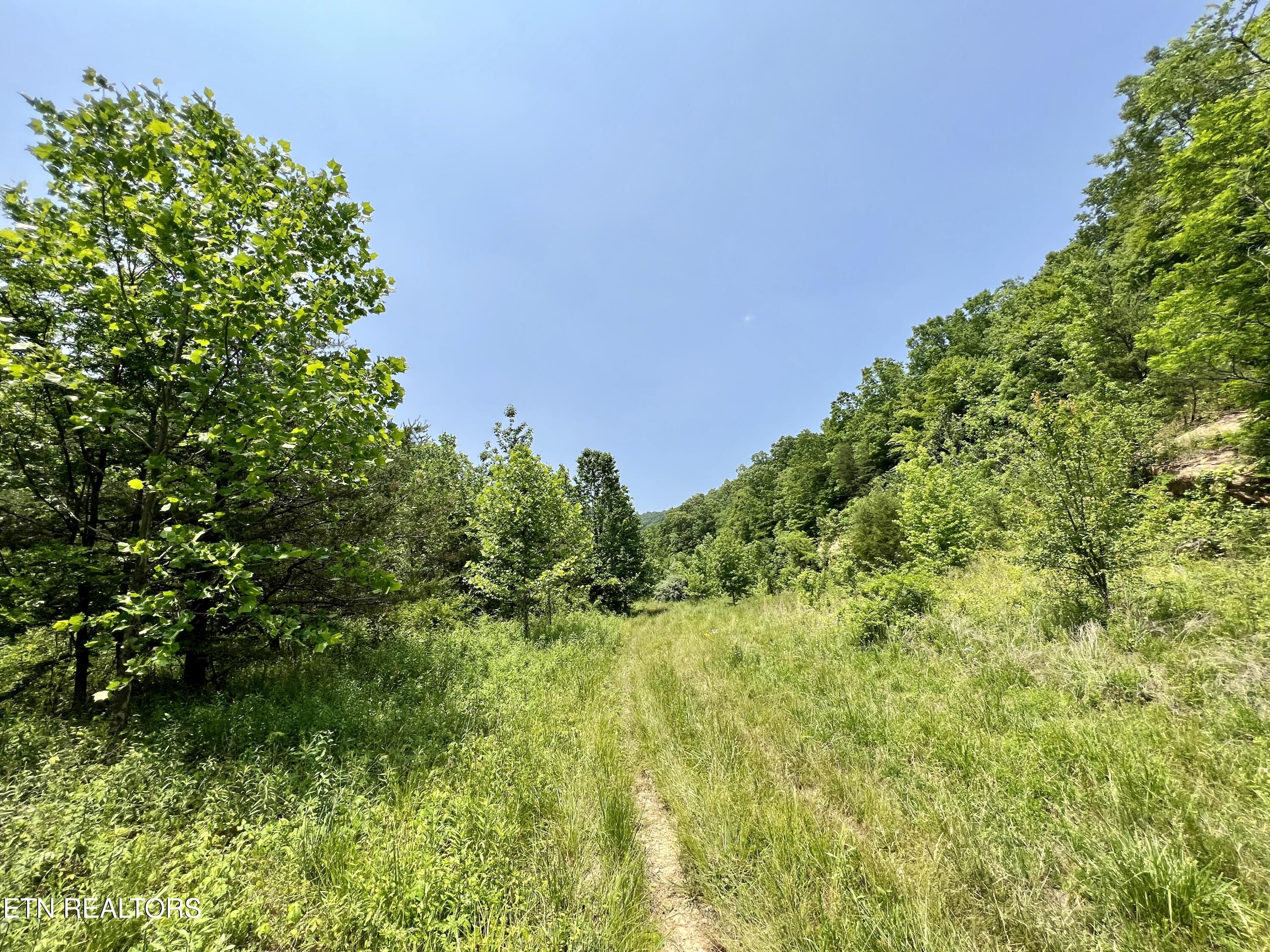 Wool Lane Jellico TN 37762