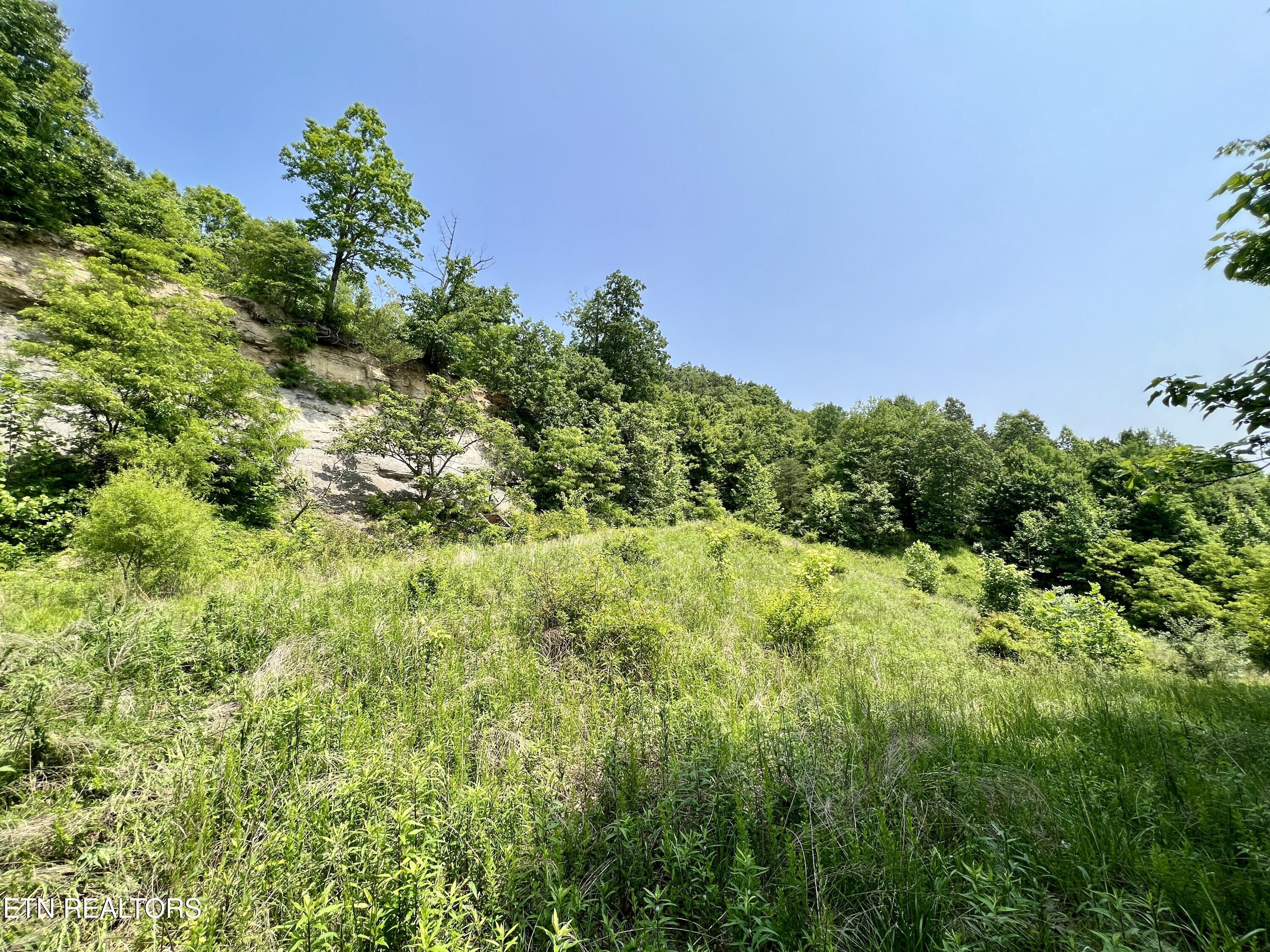 Wool Lane Jellico TN 37762