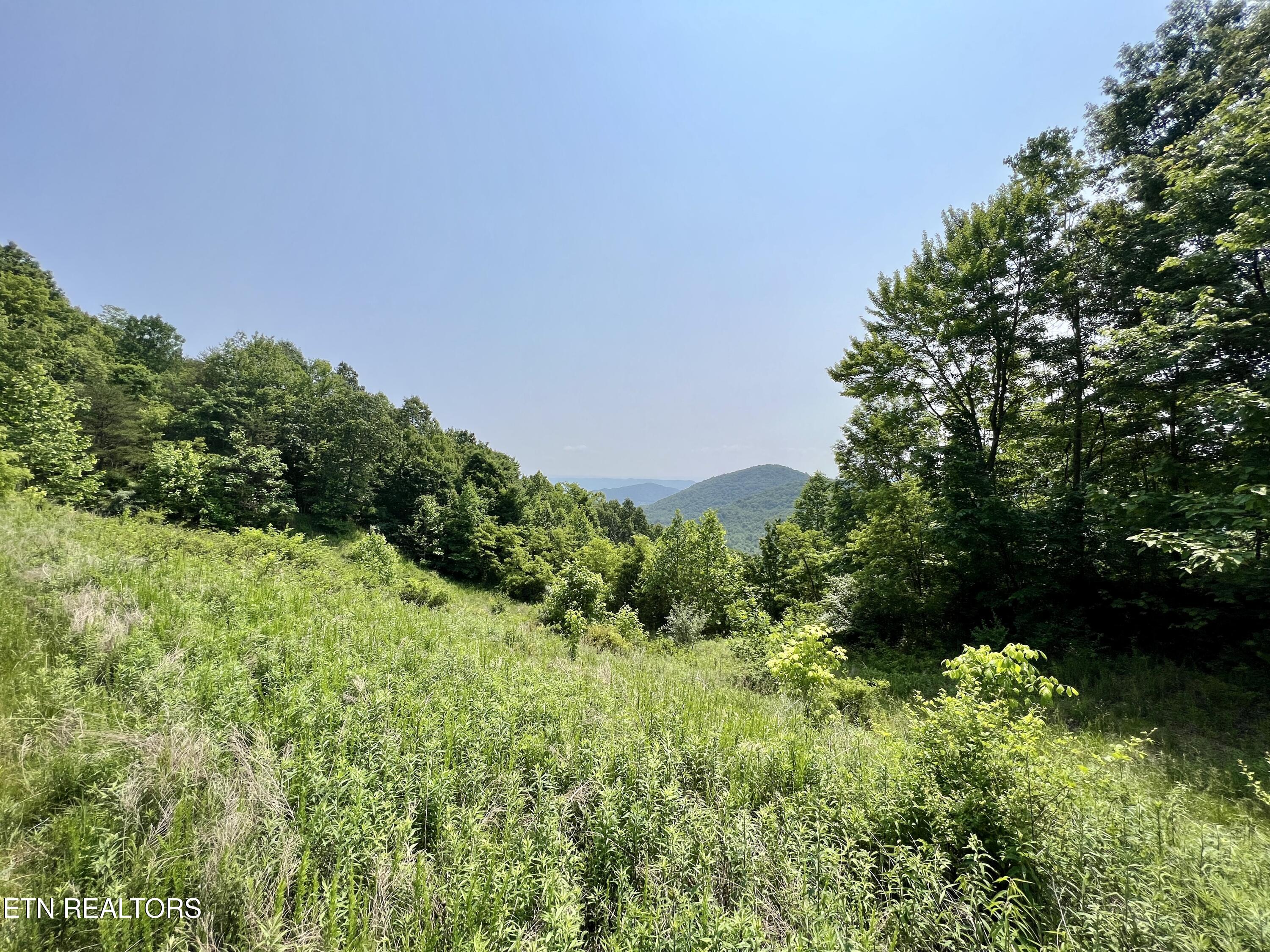 Wool Lane Jellico TN 37762
