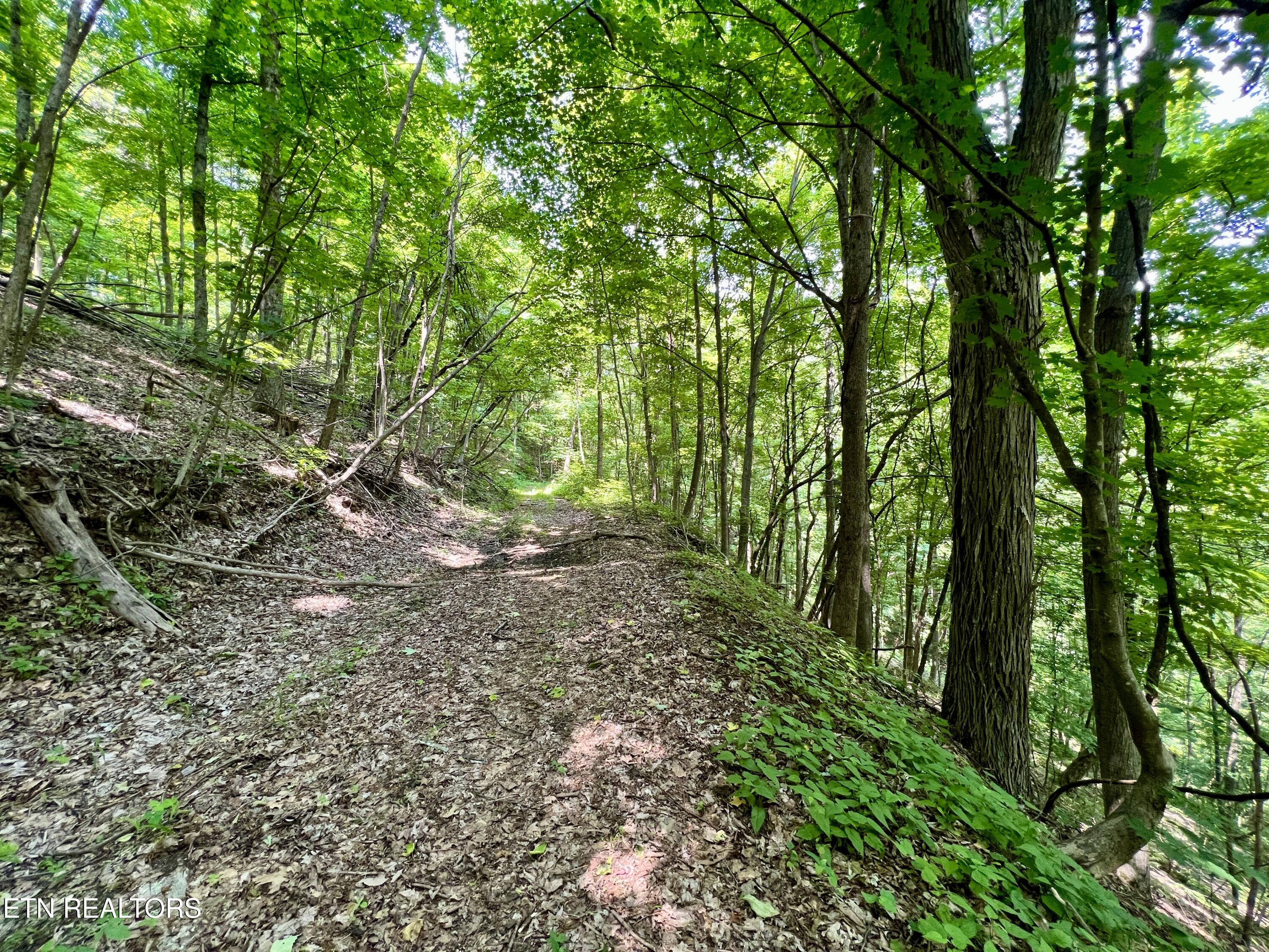 Wool Lane Jellico TN 37762