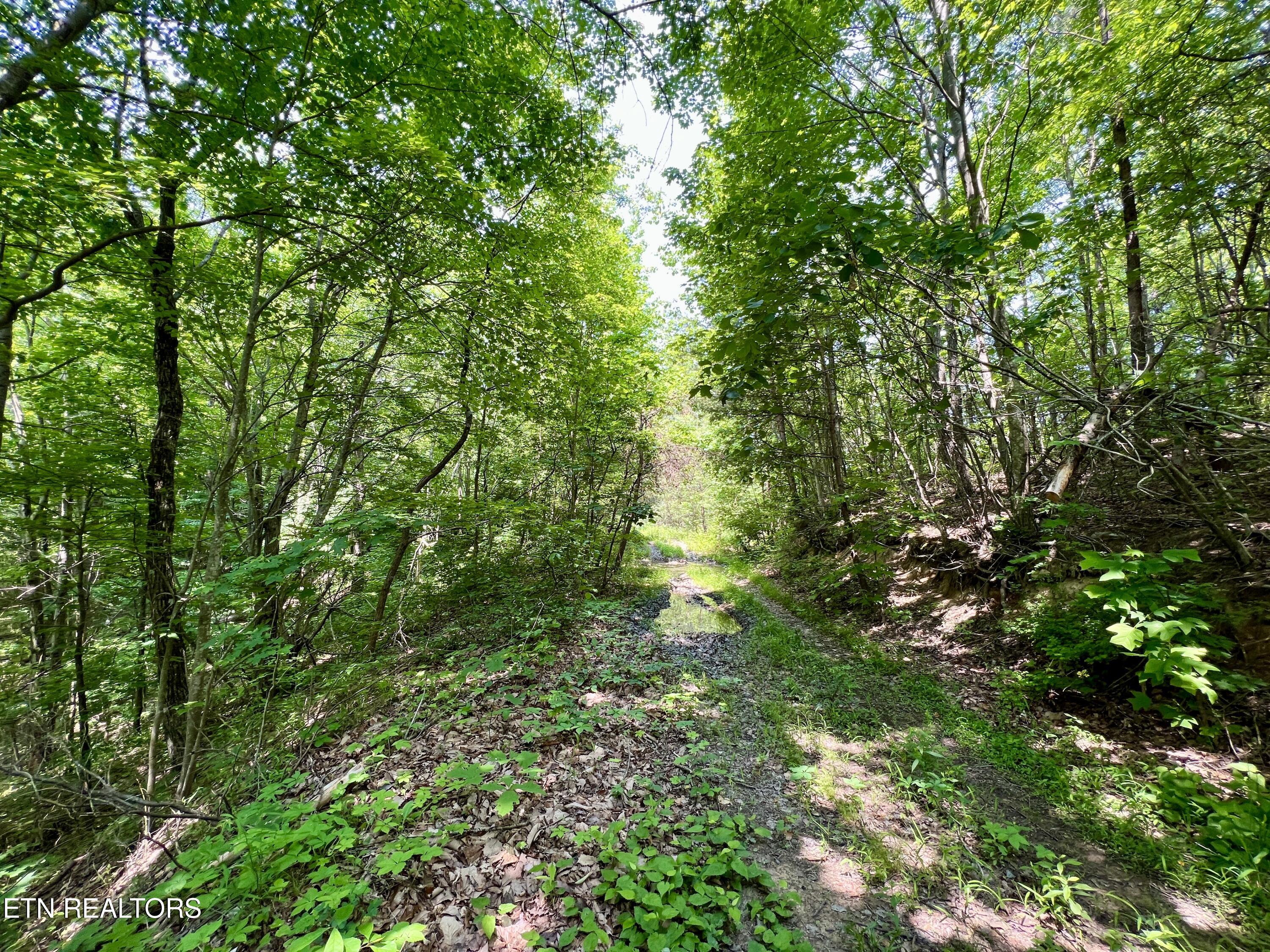 Wool Lane Jellico TN 37762