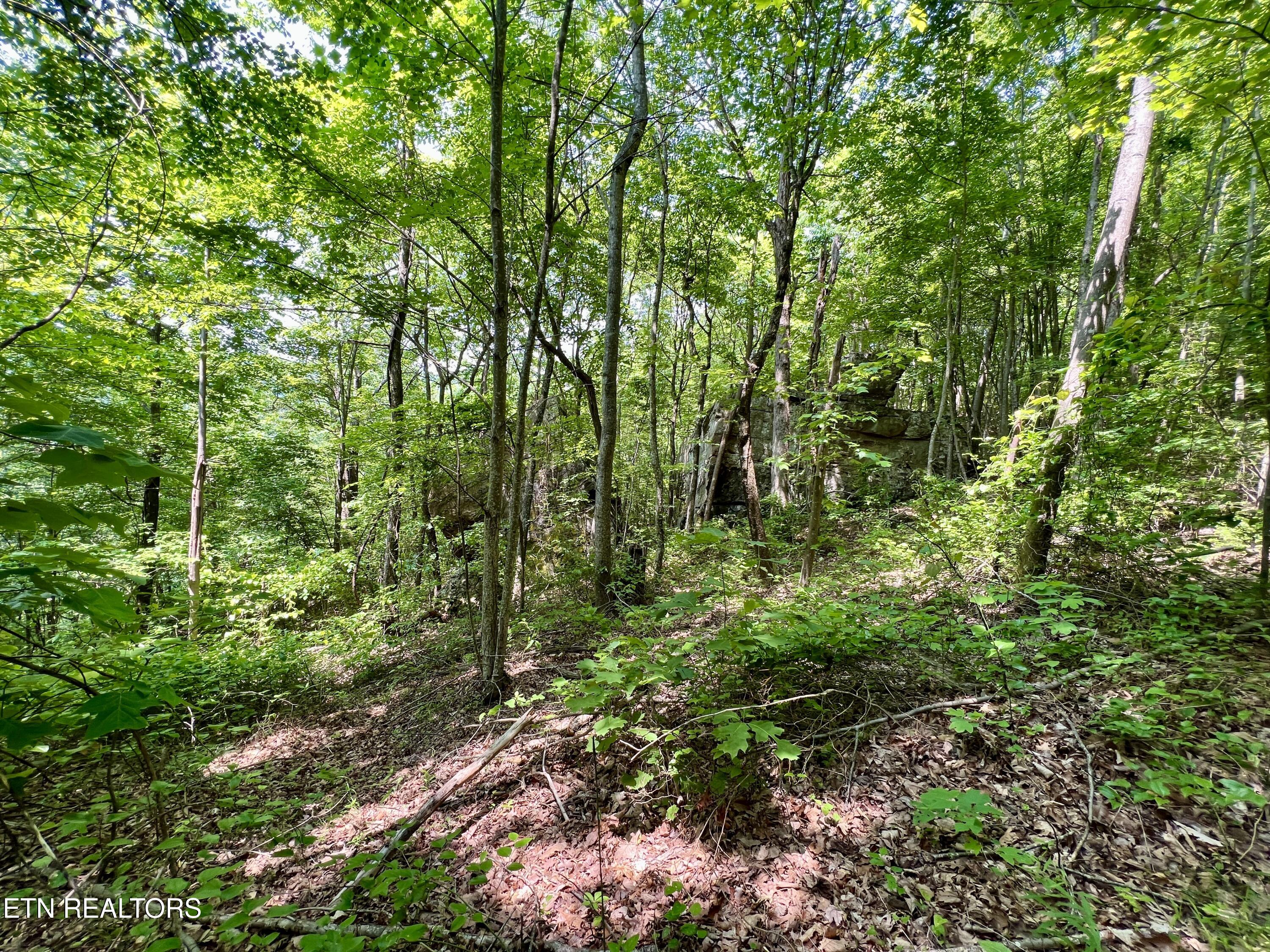 Wool Lane Jellico TN 37762