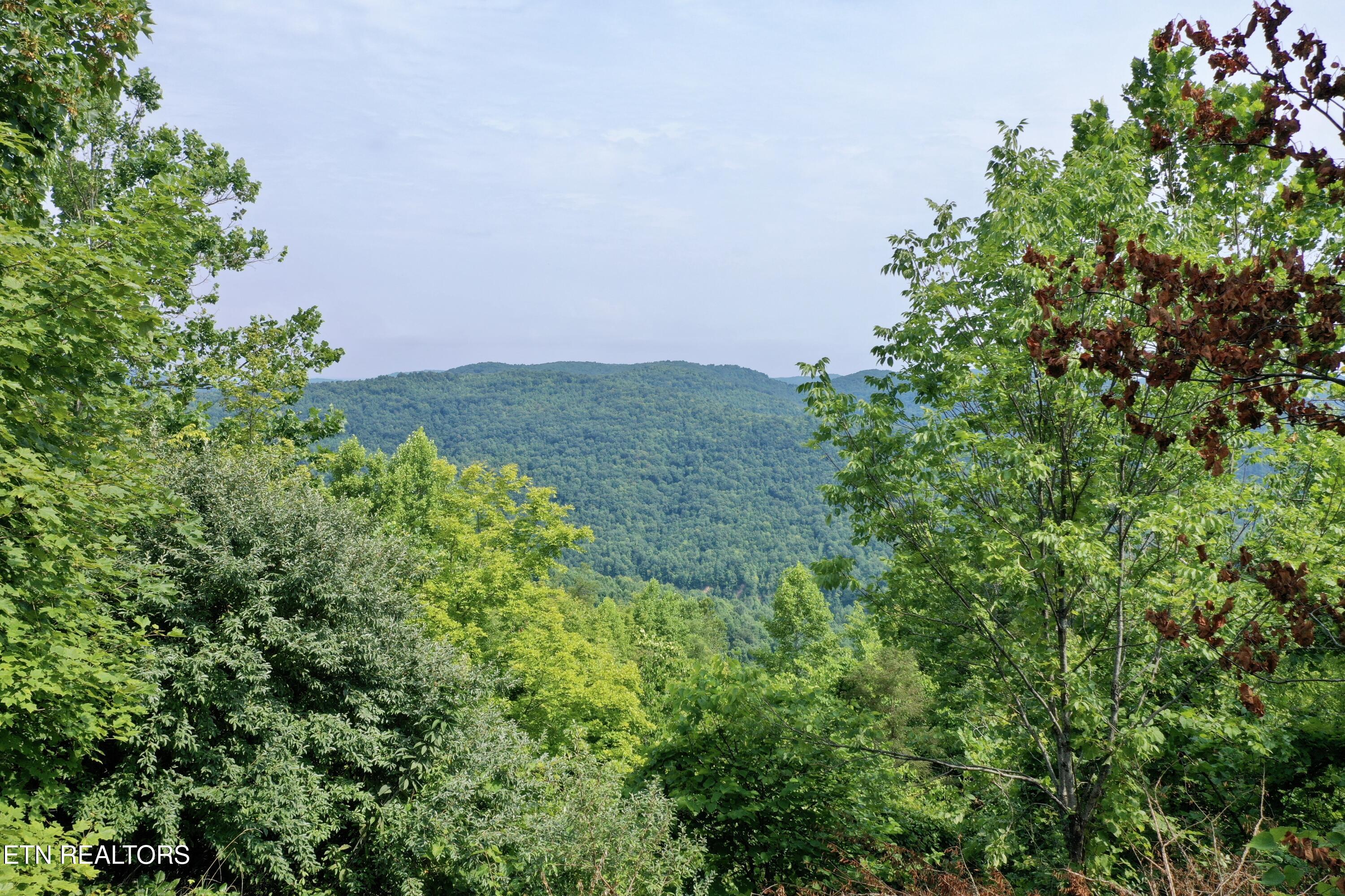 Wool Lane Jellico TN 37762