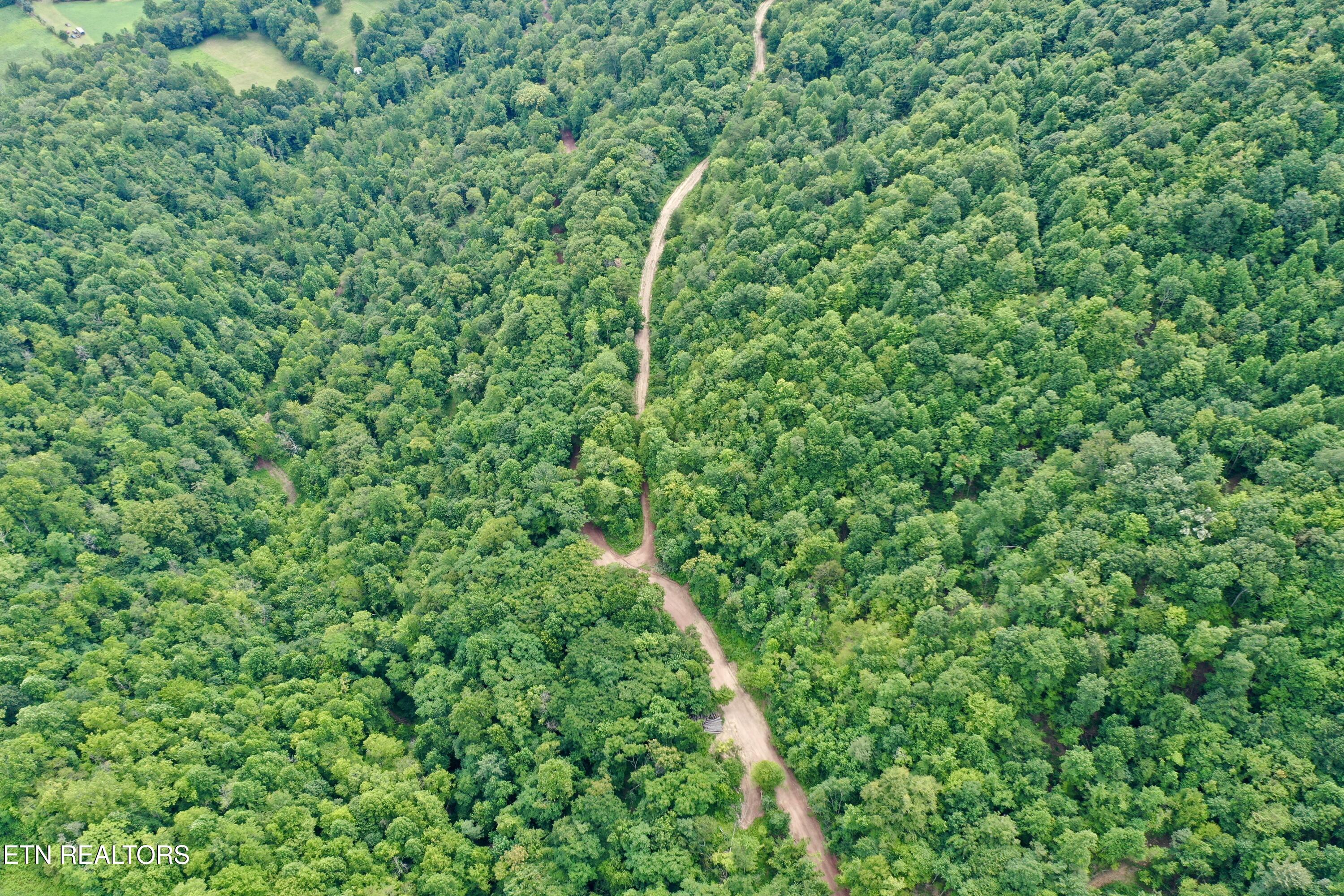 Wool Lane Jellico TN 37762