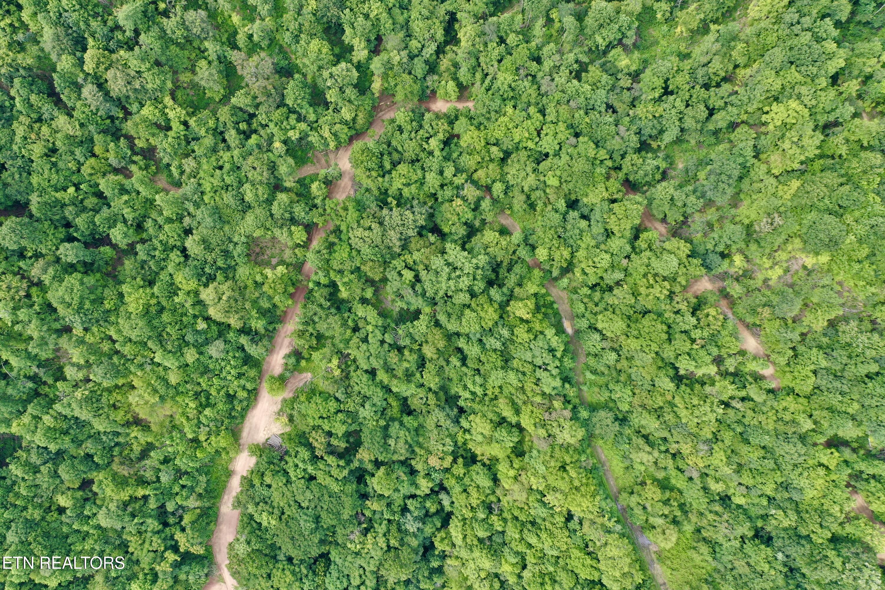 Wool Lane Jellico TN 37762