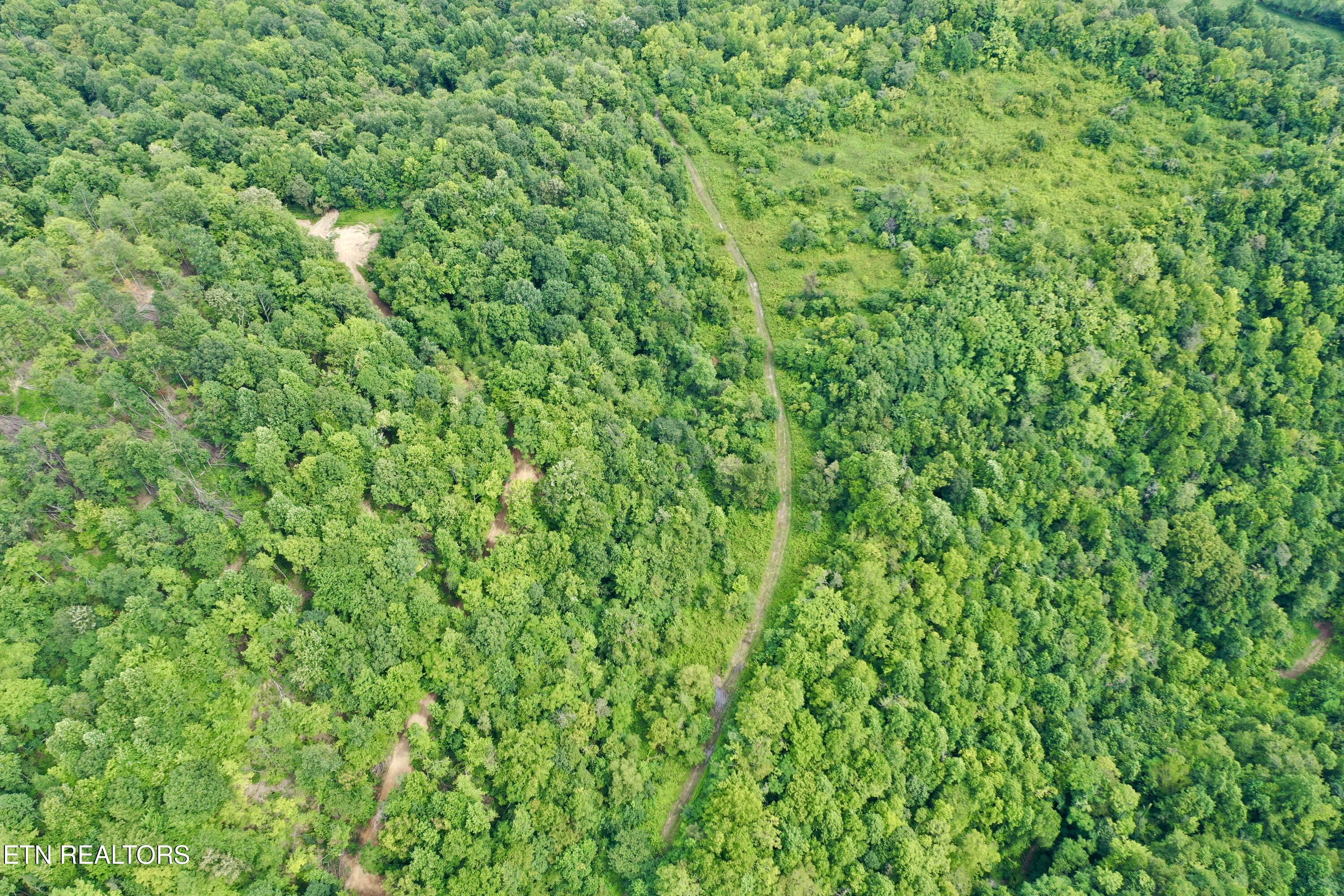 Wool Lane Jellico TN 37762