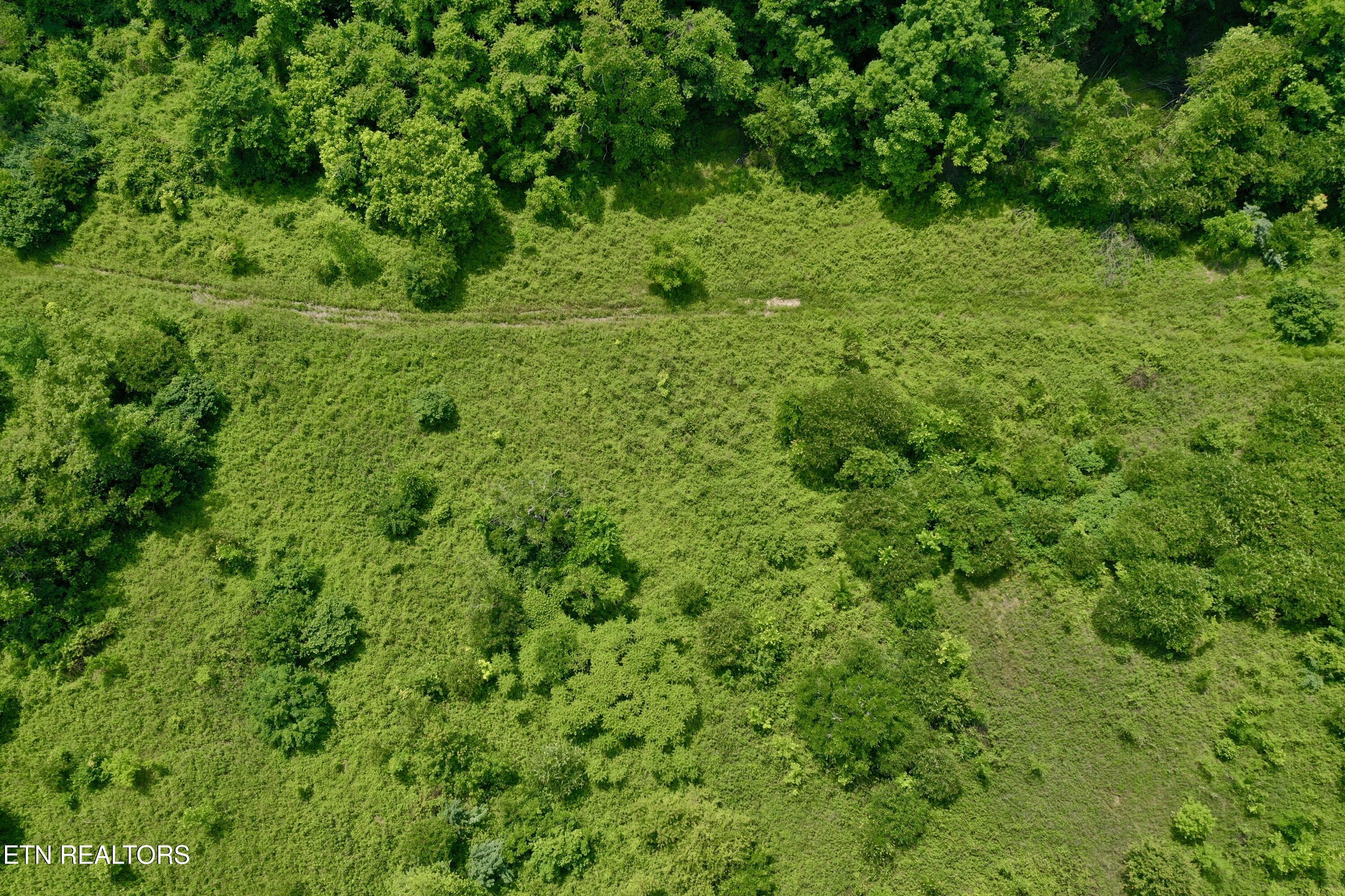 Wool Lane Jellico TN 37762