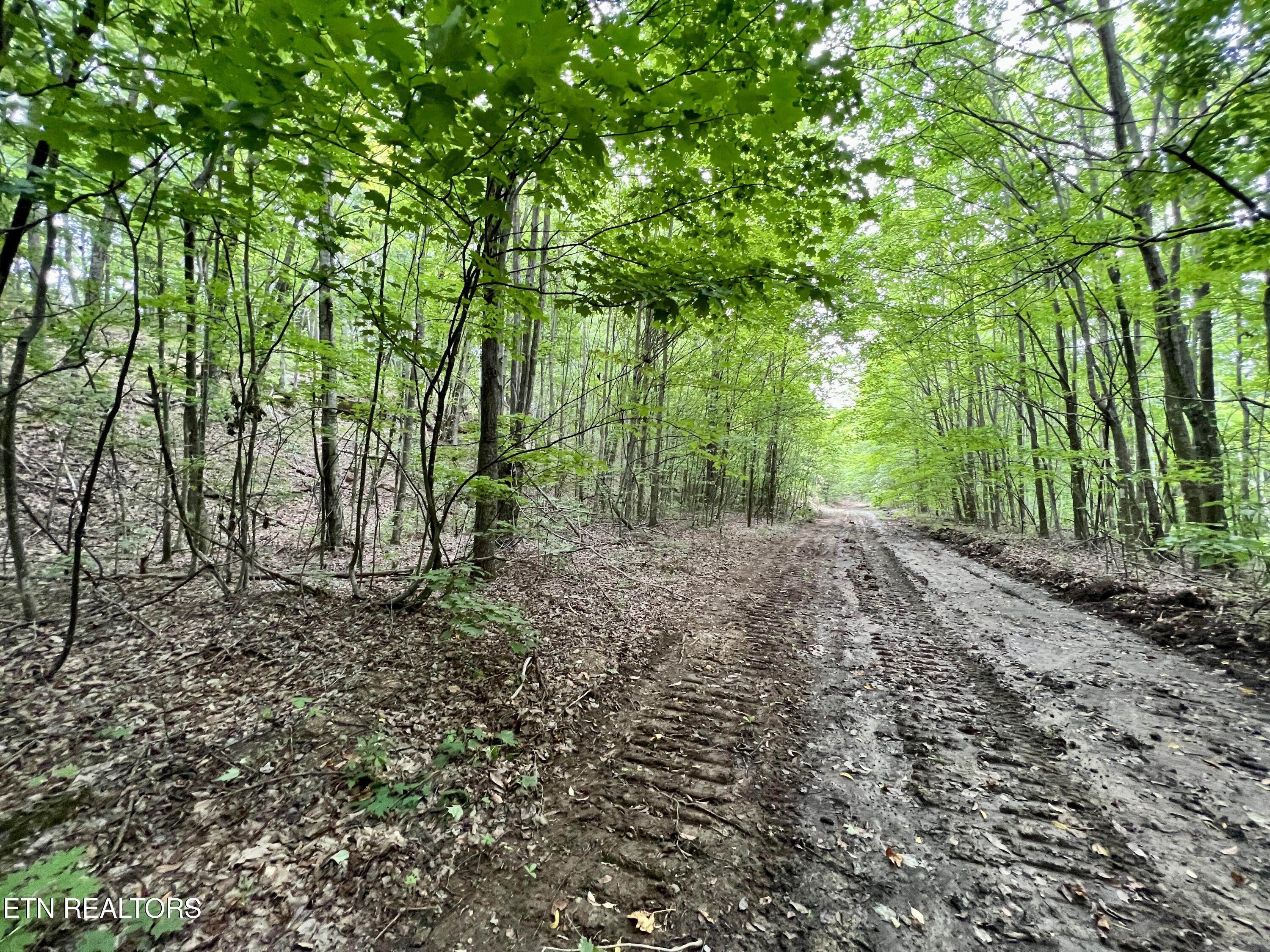 Wool Lane Jellico TN 37762