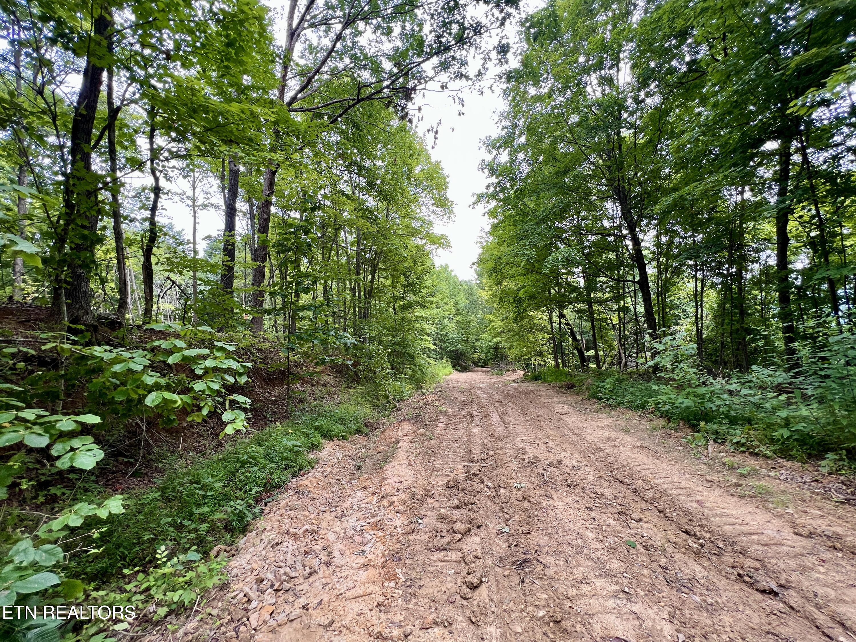 Wool Lane Jellico TN 37762