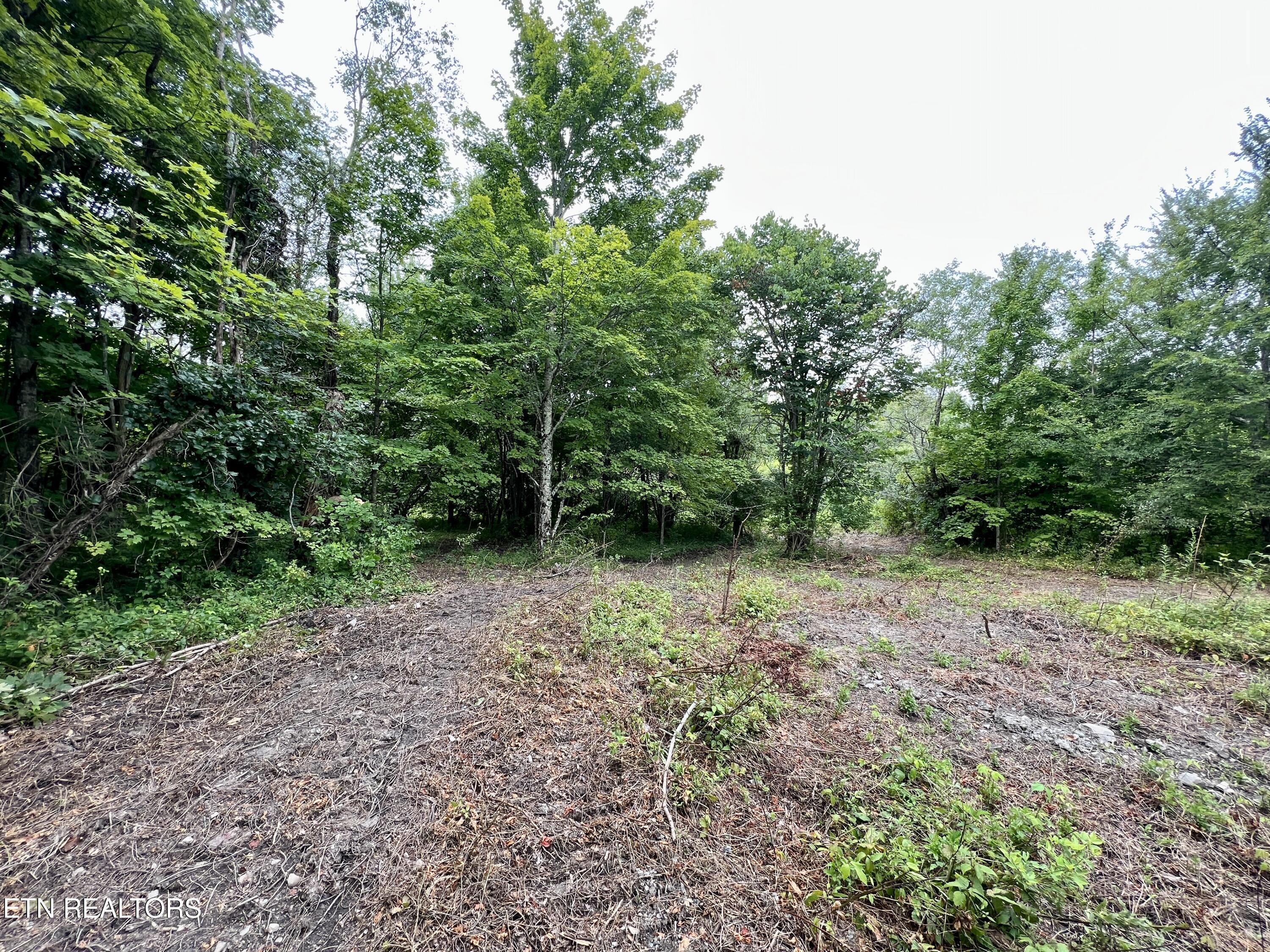 Wool Lane Jellico TN 37762