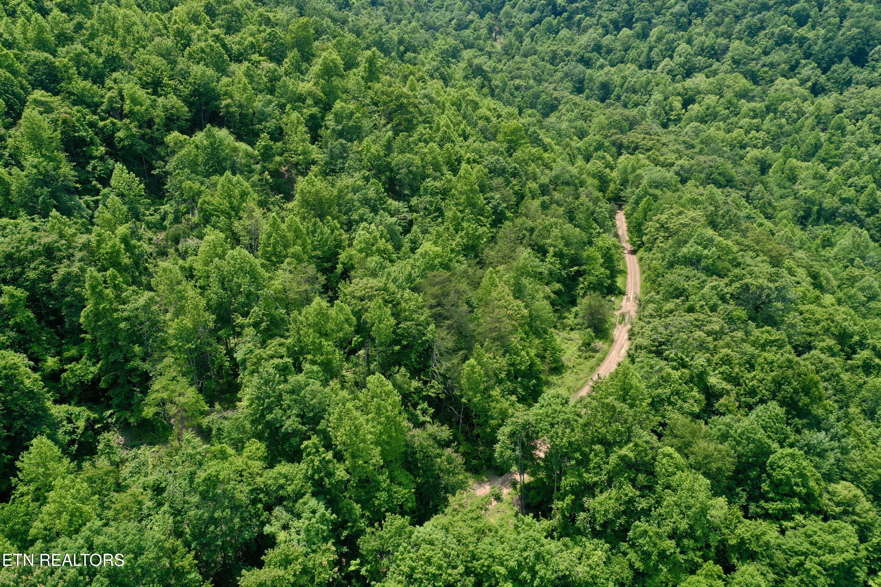 Wool Lane Jellico TN 37762