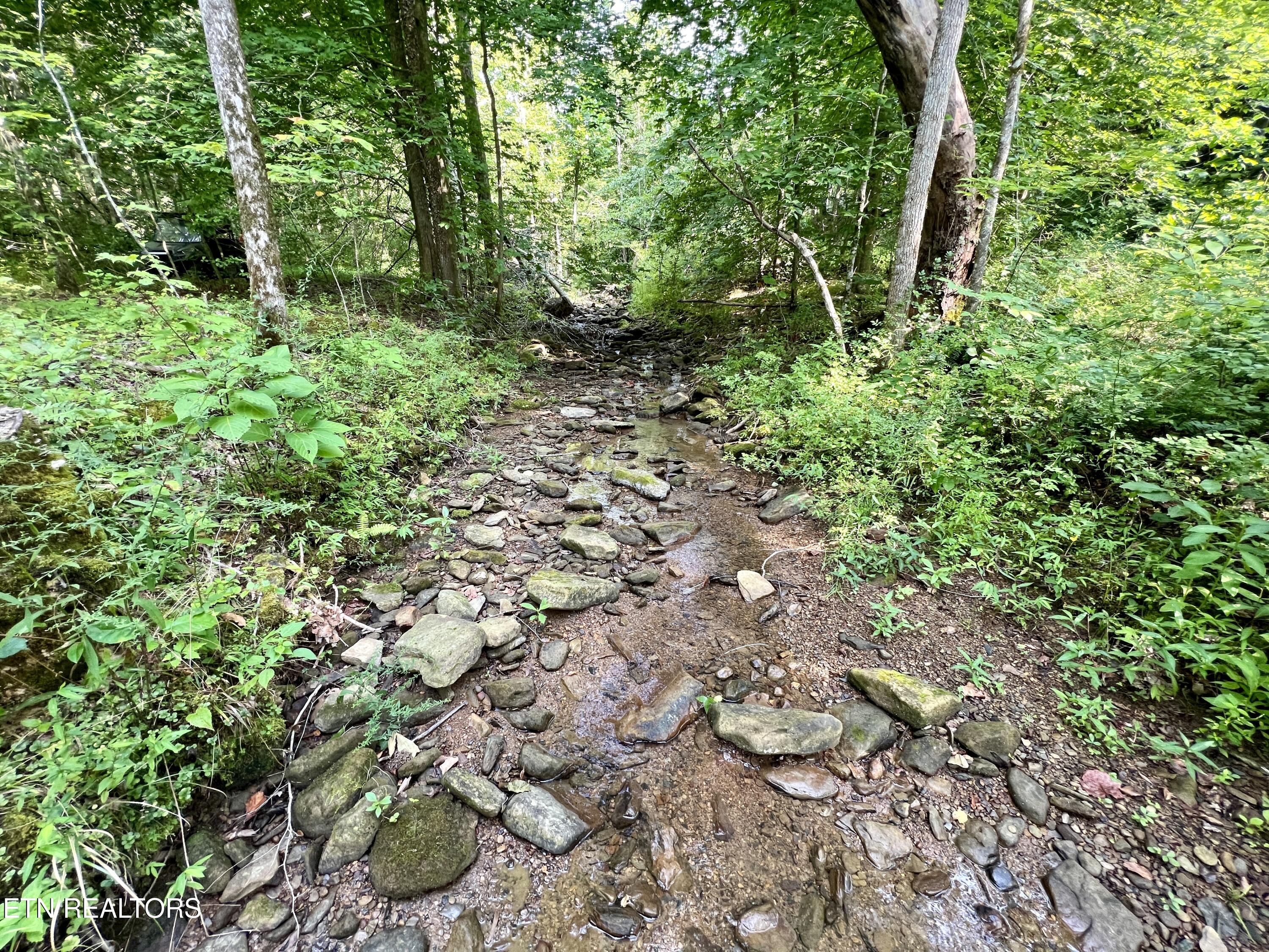 Wool Lane Jellico TN 37762