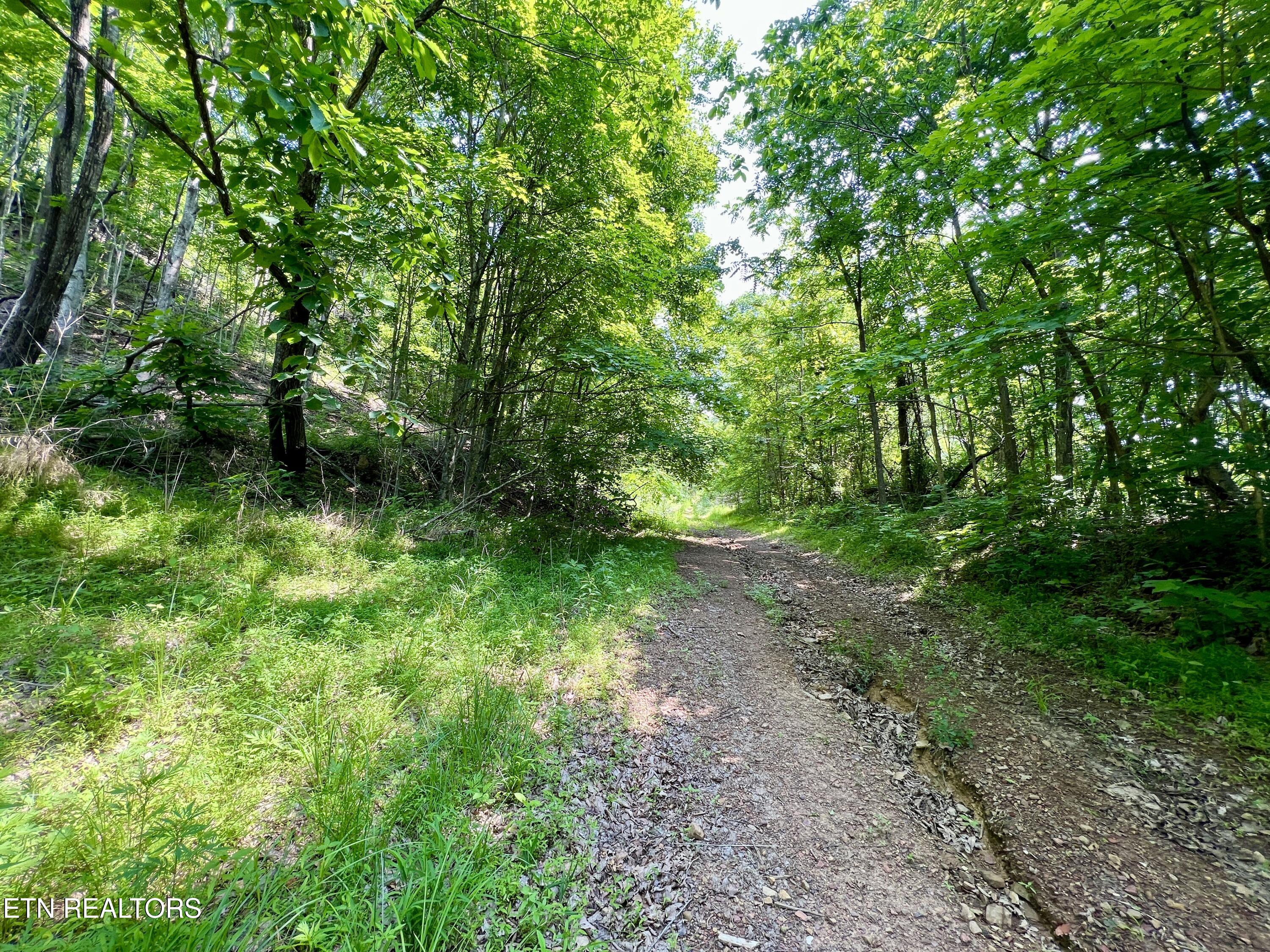 Wool Lane Jellico TN 37762