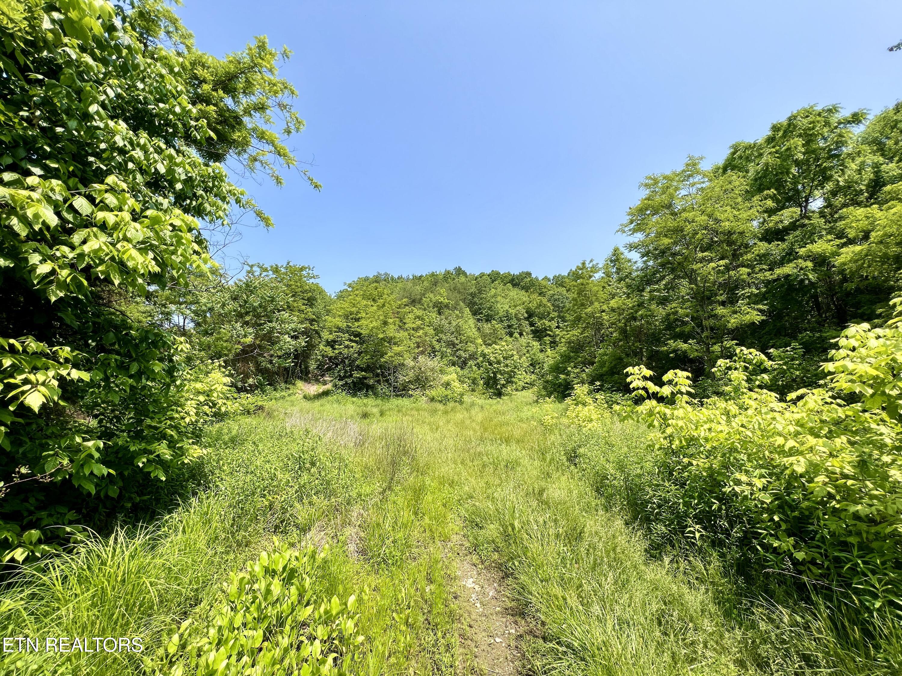 Wool Lane Jellico TN 37762