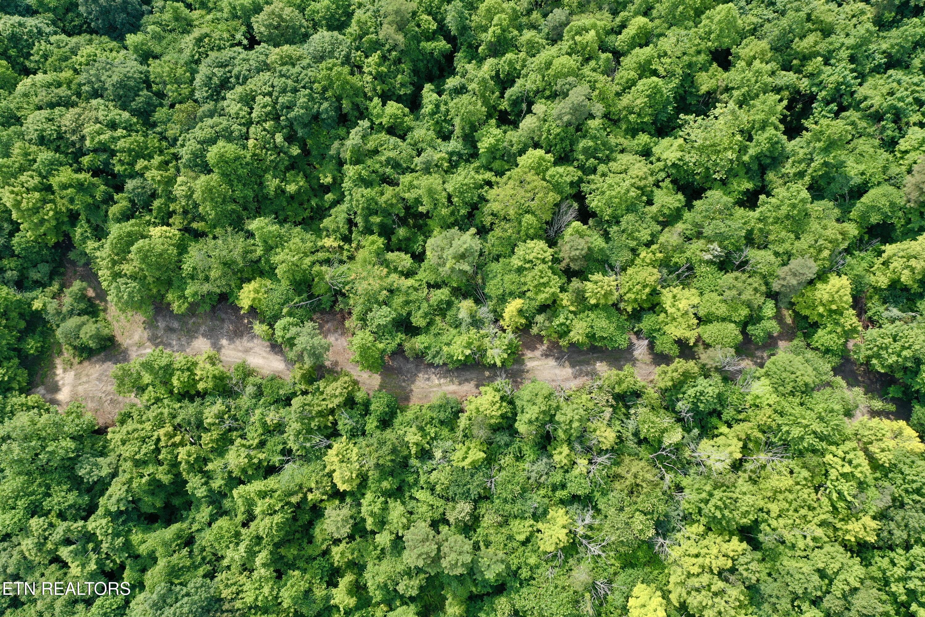 Wool Lane Jellico TN 37762