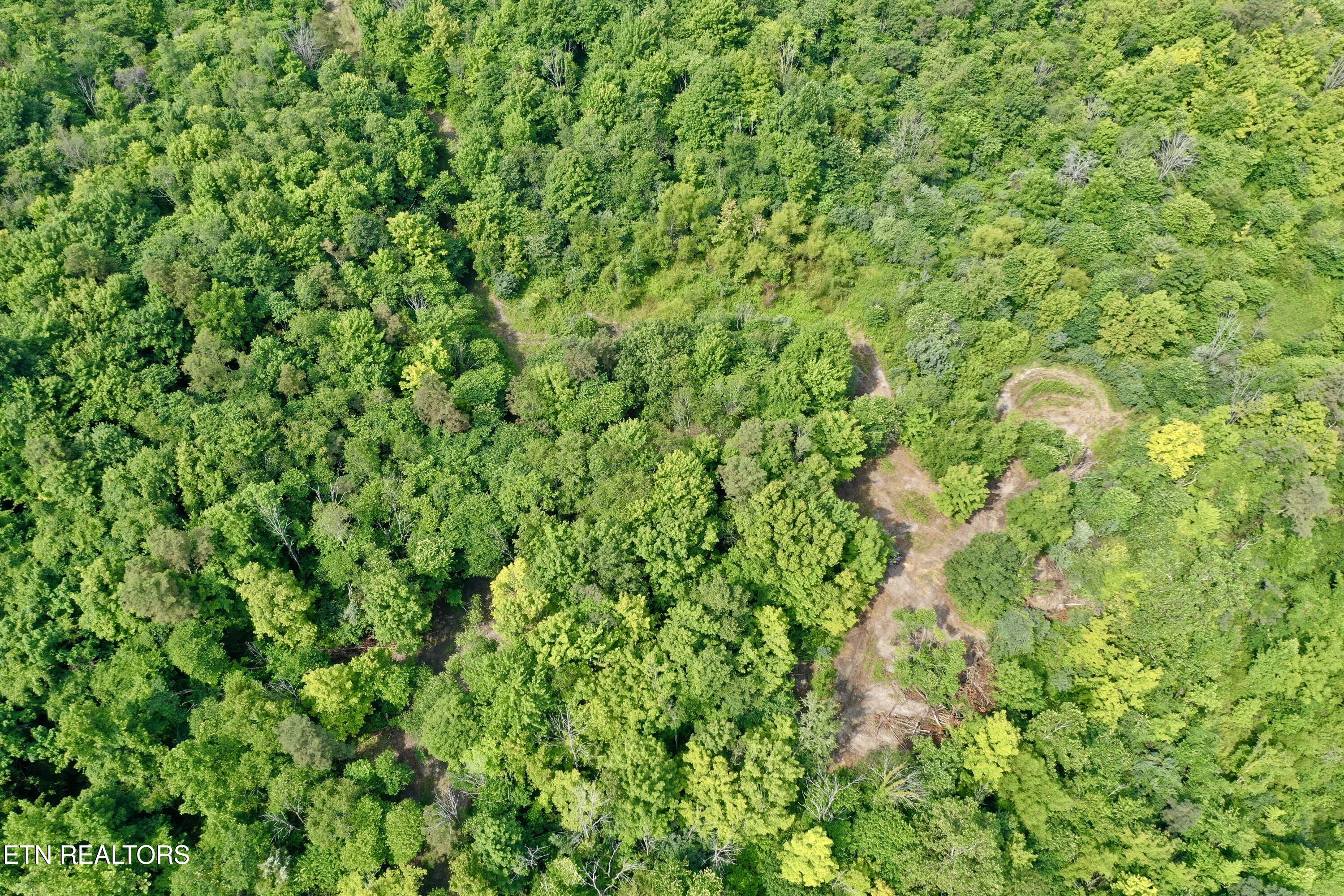 Wool Lane Jellico TN 37762