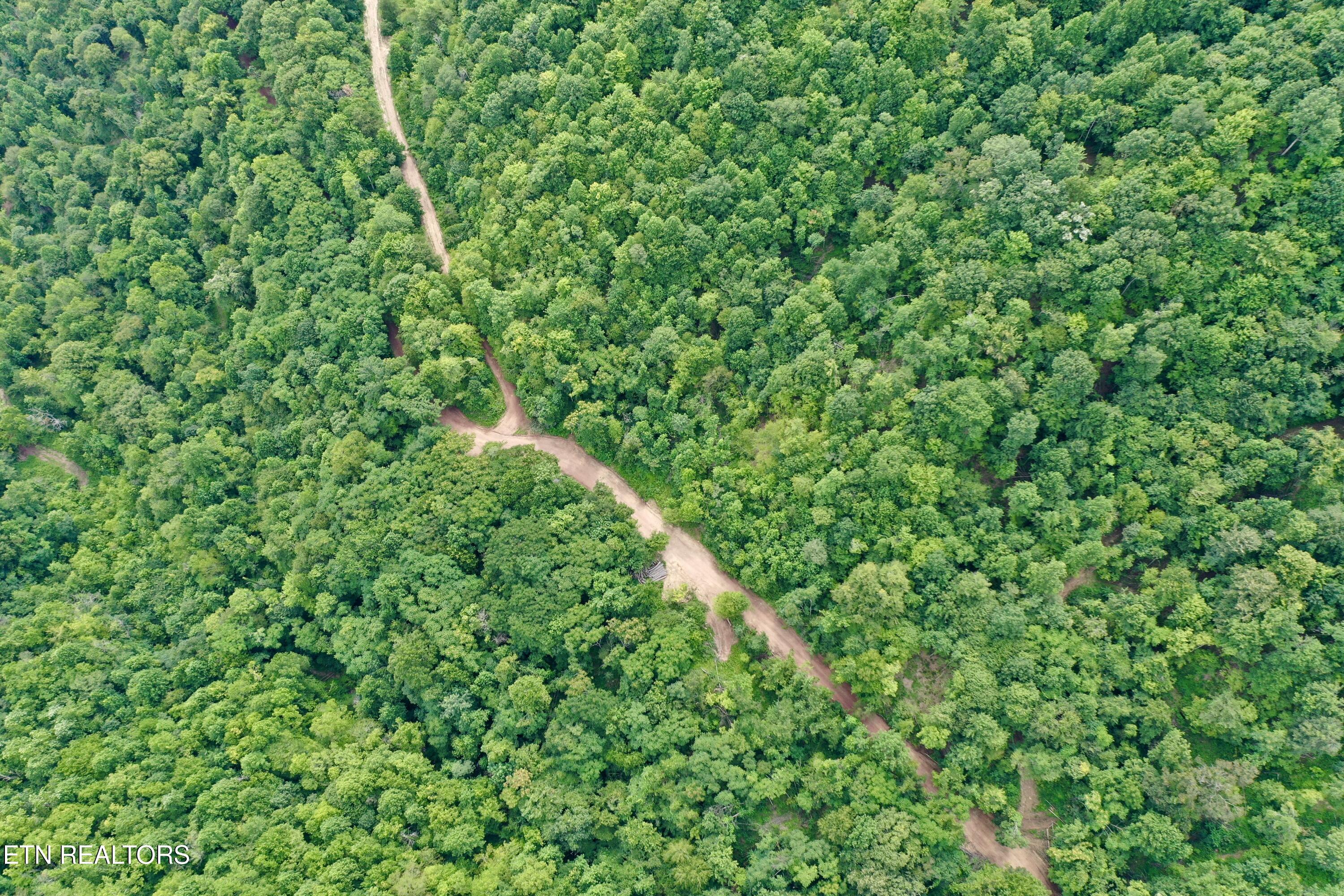 Wool Lane Jellico TN 37762