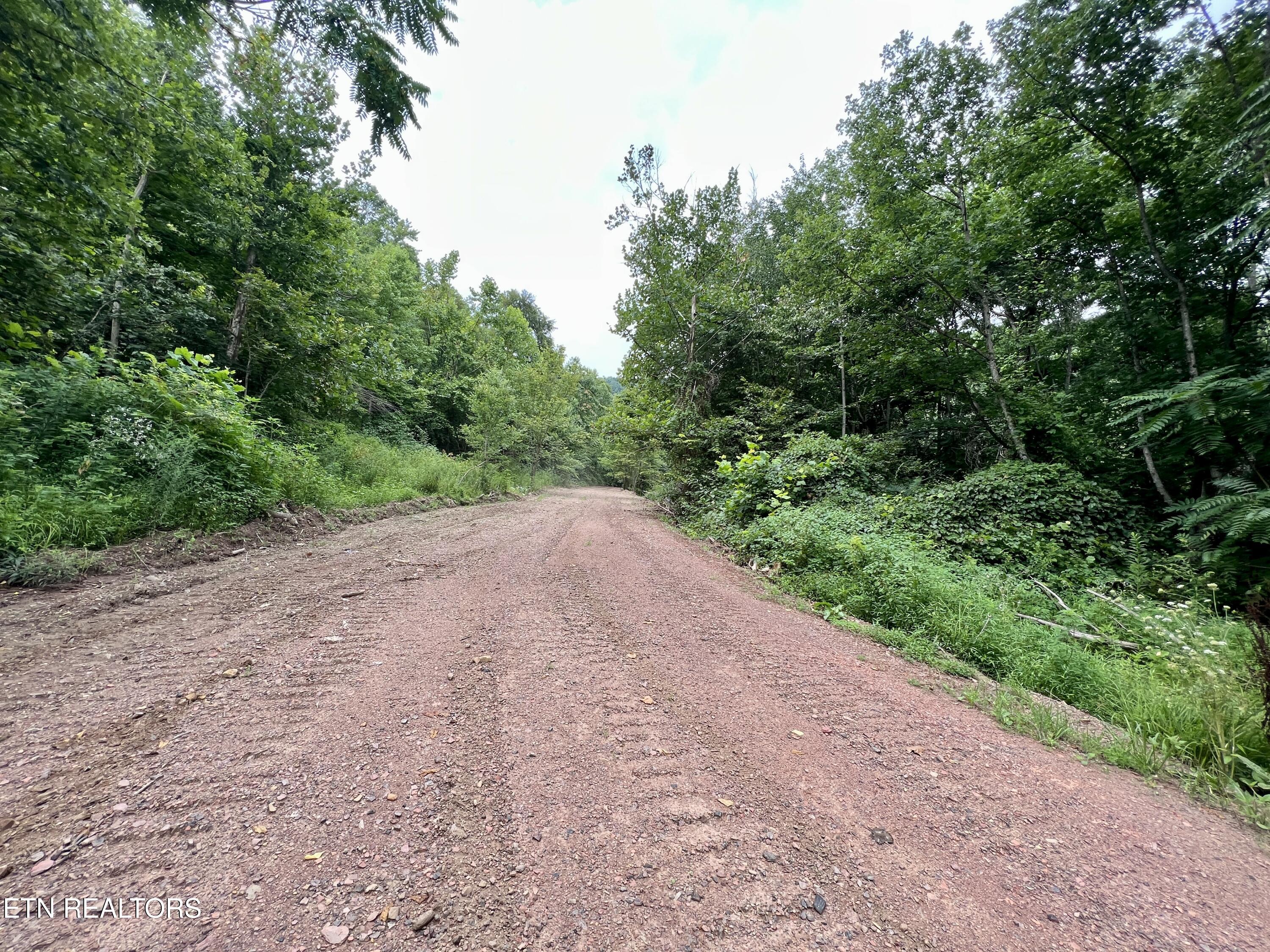 Wool Lane Jellico TN 37762