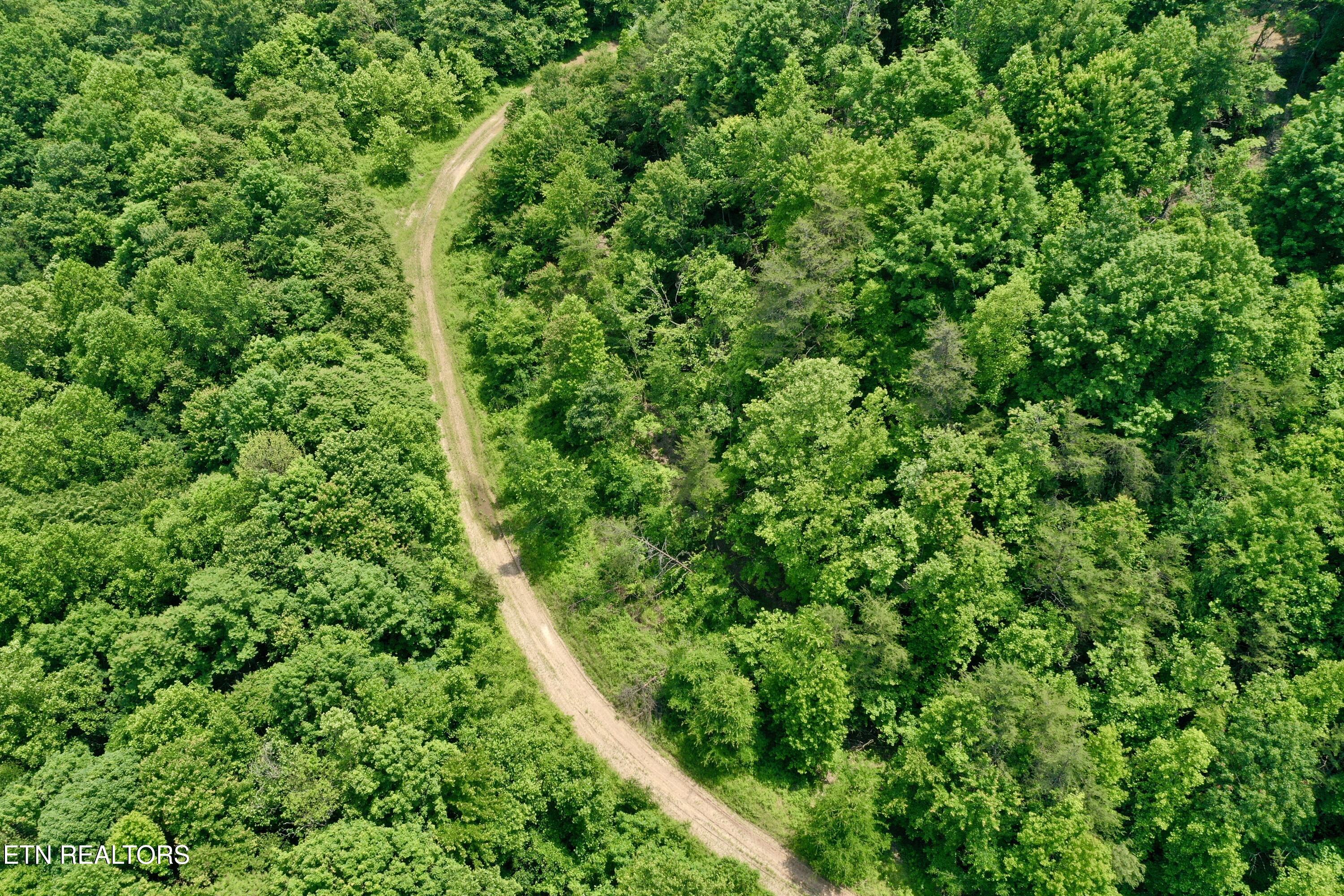 Wool Lane Jellico TN 37762
