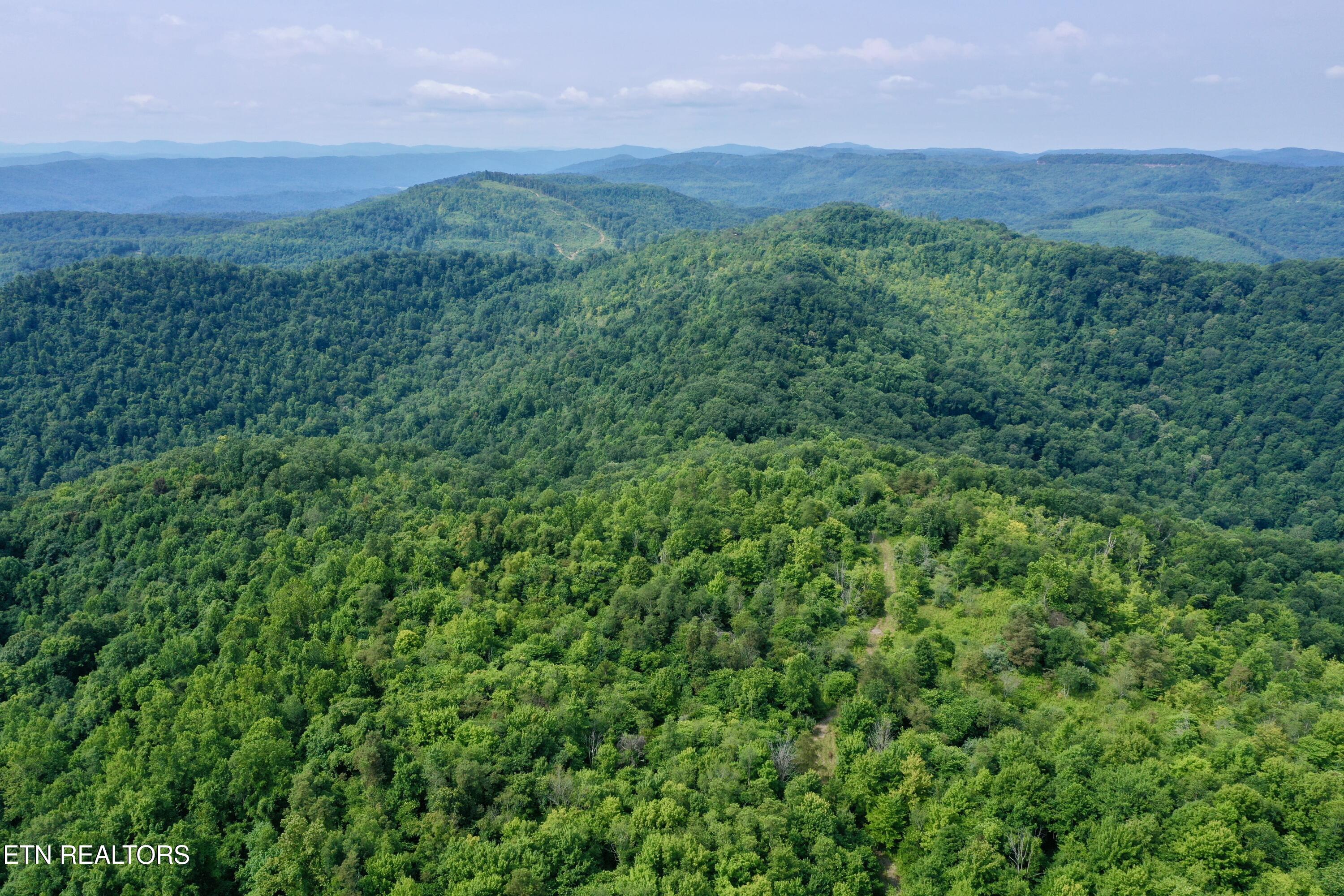 Wool Lane Jellico TN 37762