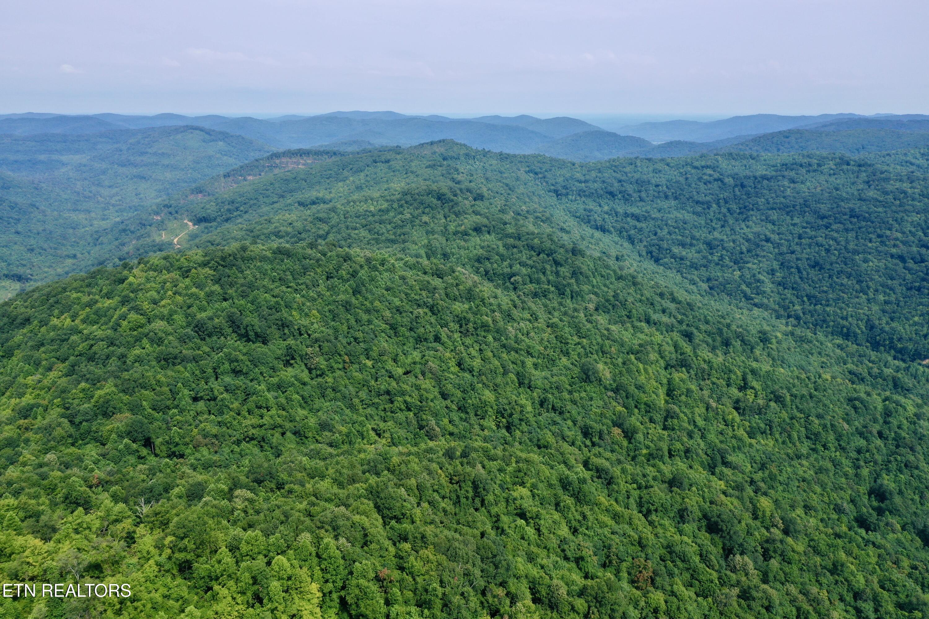 Wool Lane Jellico TN 37762