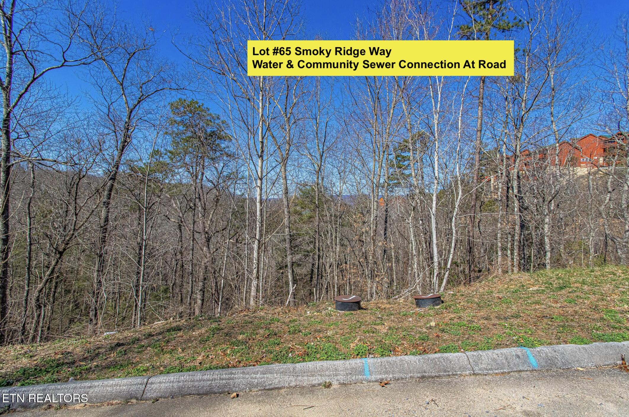 Lot #65 Smoky Ridge Way Sevierville TN 37862