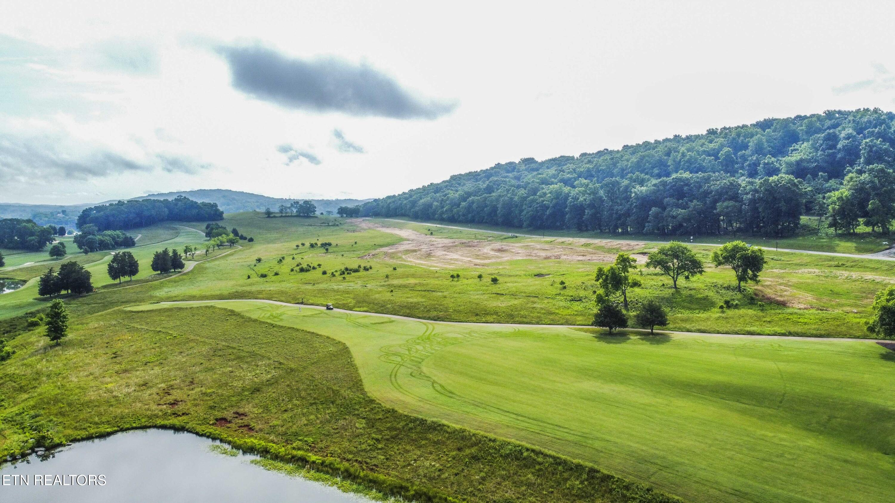 494 Black Bear Circle Loudon TN 37774