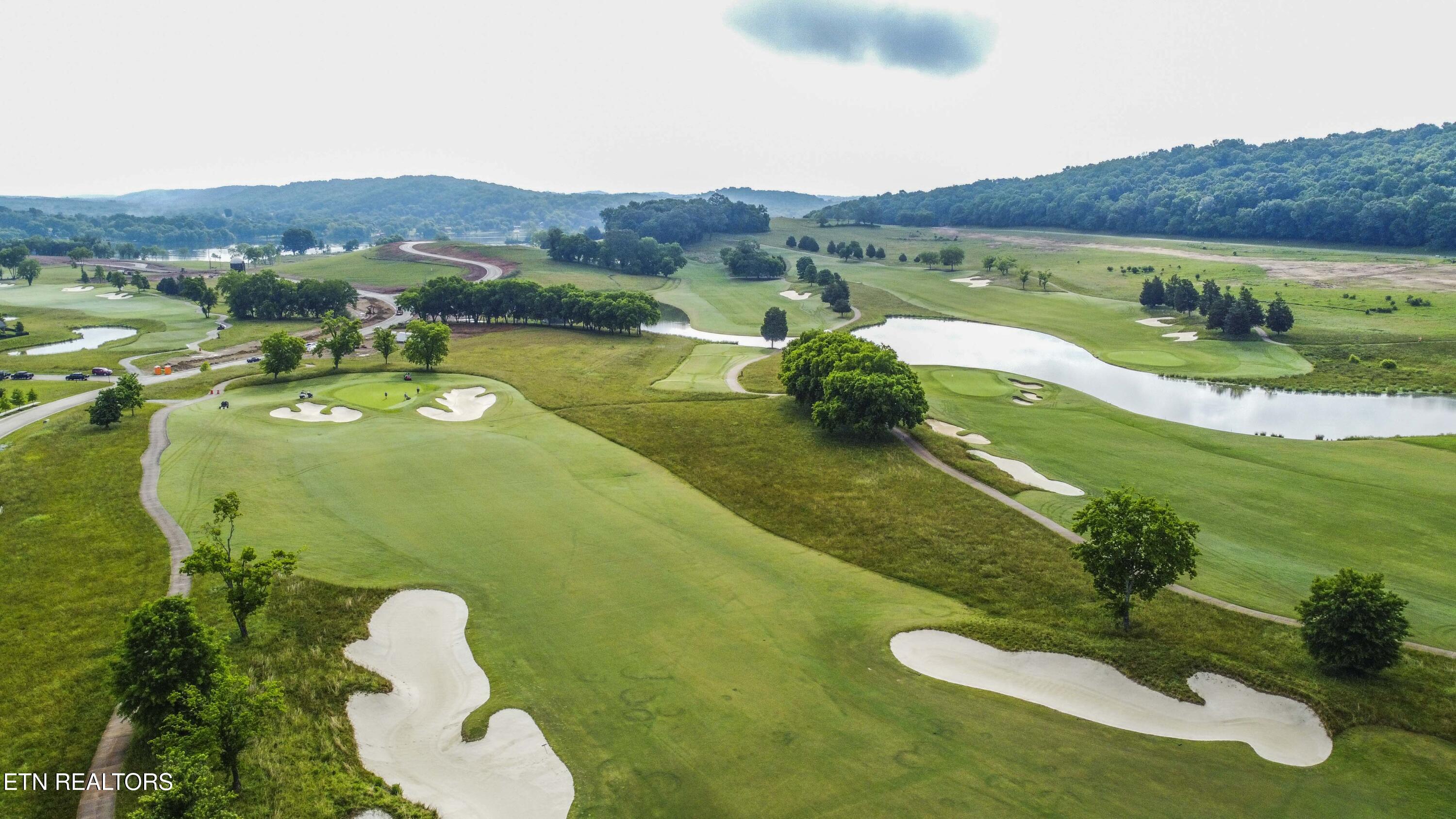 494 Black Bear Circle Loudon TN 37774