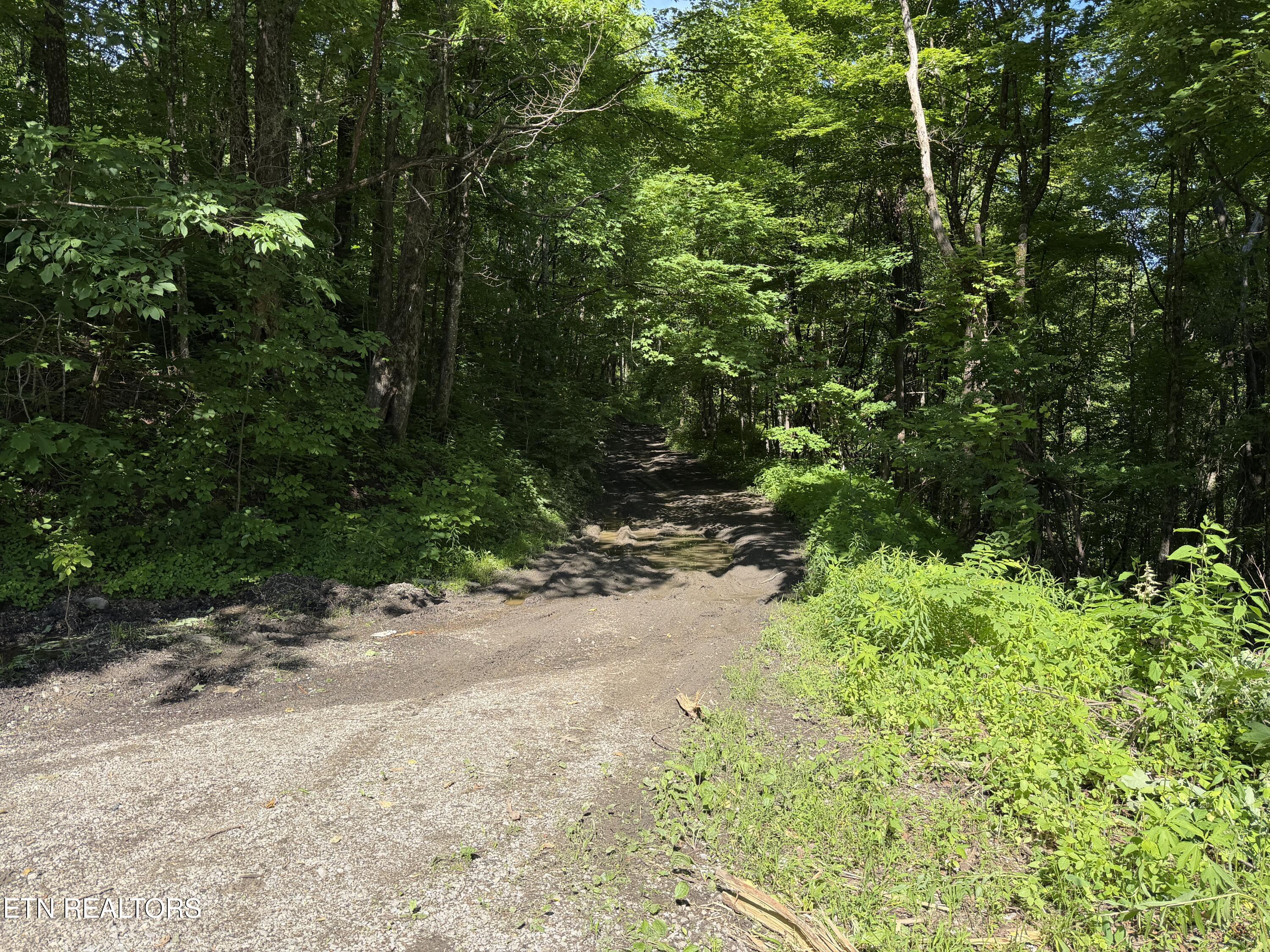 Mountain Road Caryville TN 37714