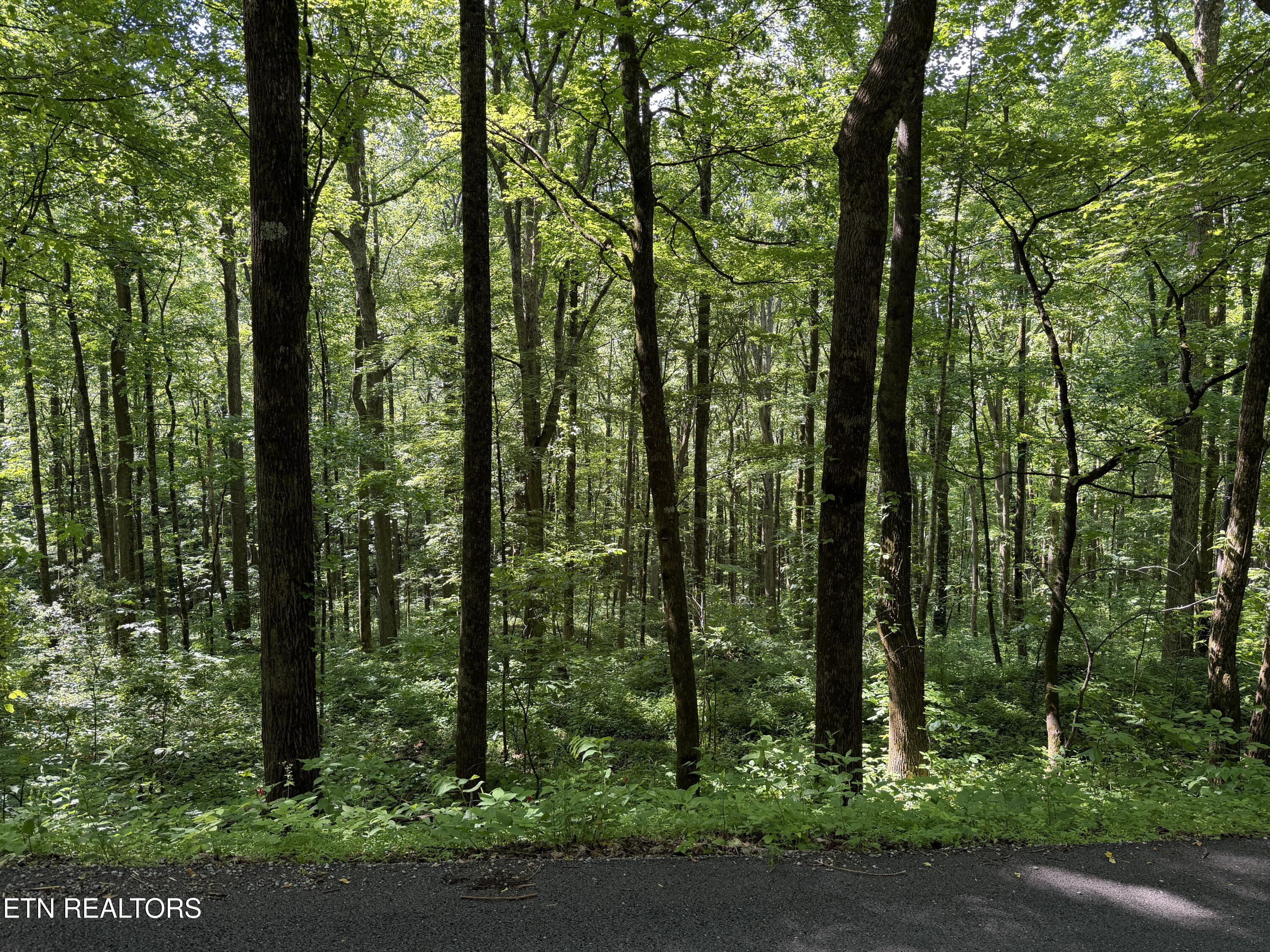 Mountain Road Caryville TN 37714