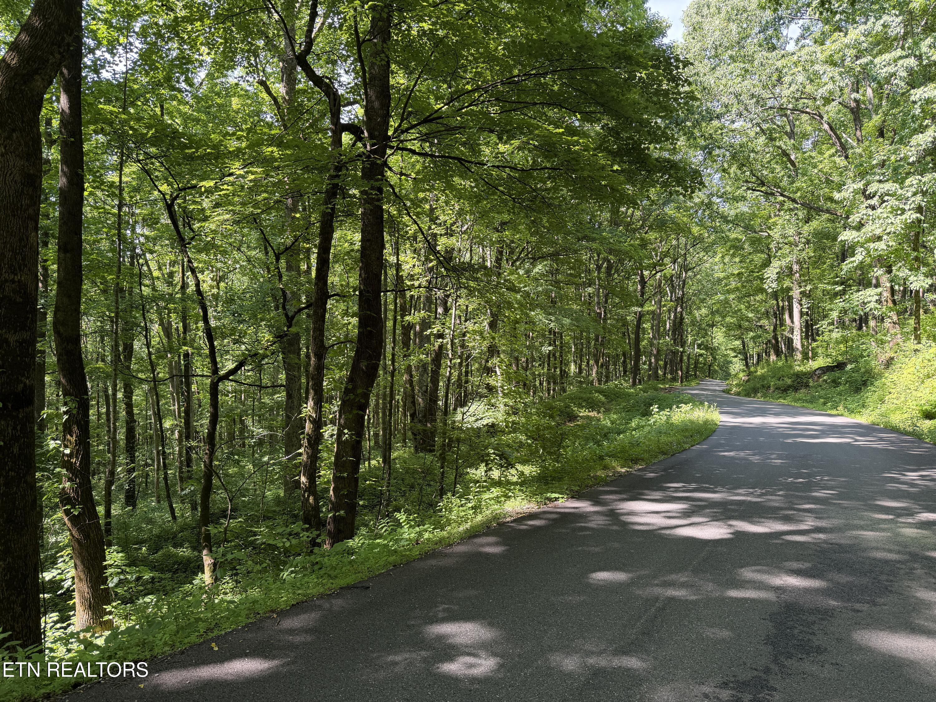 Mountain Road Caryville TN 37714