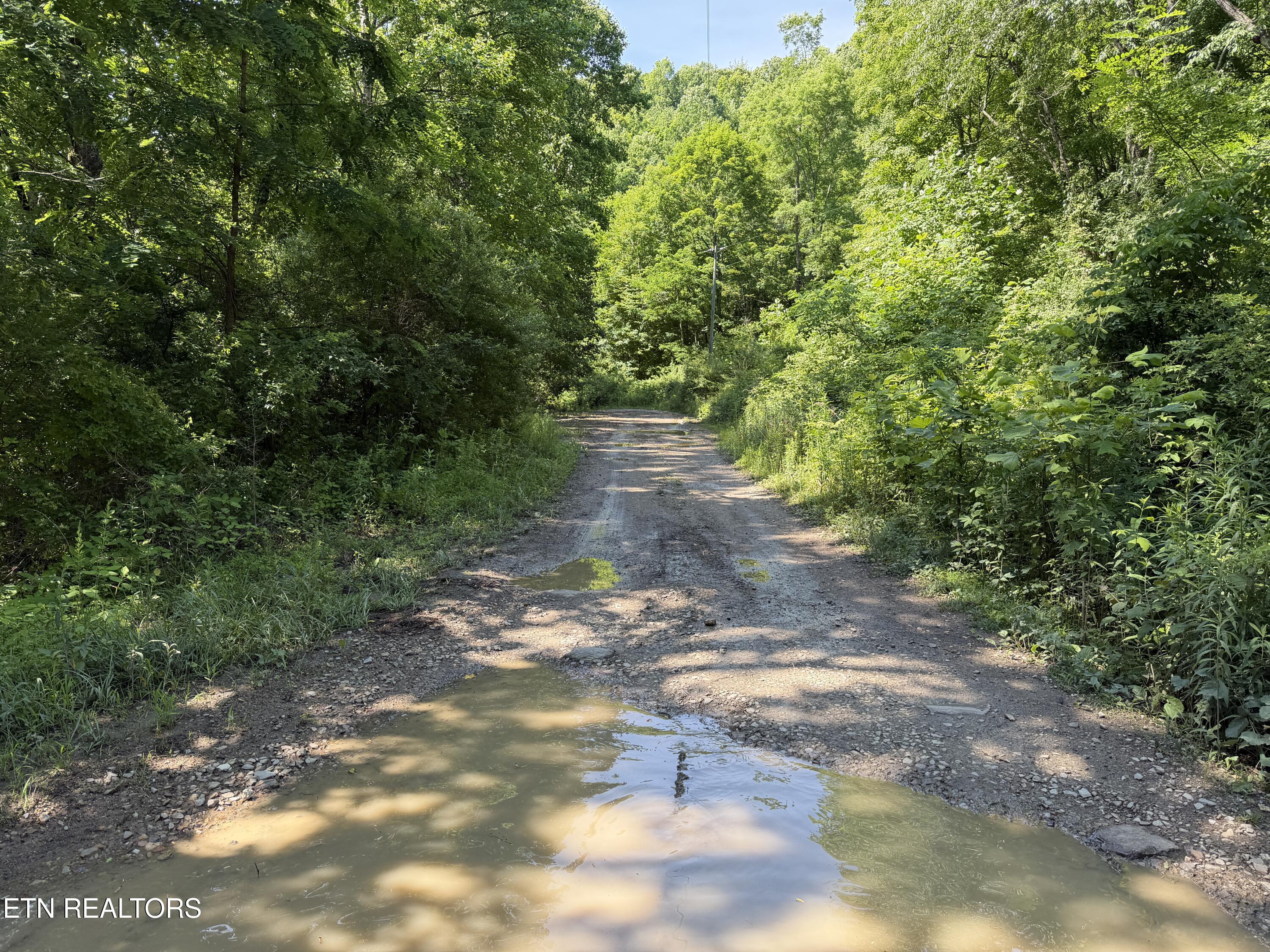 Mountain Road Caryville TN 37714