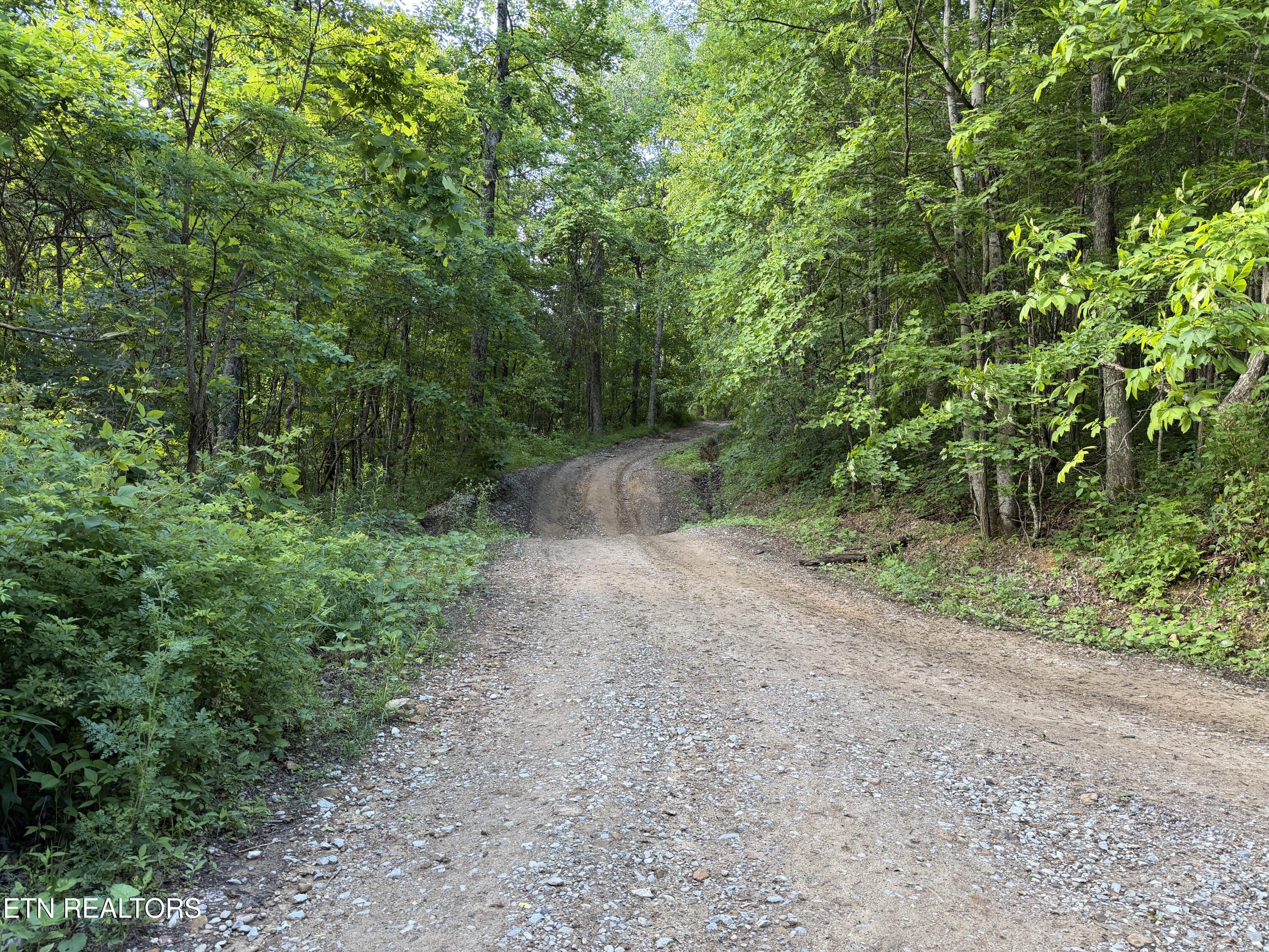 Mountain Road Caryville TN 37714