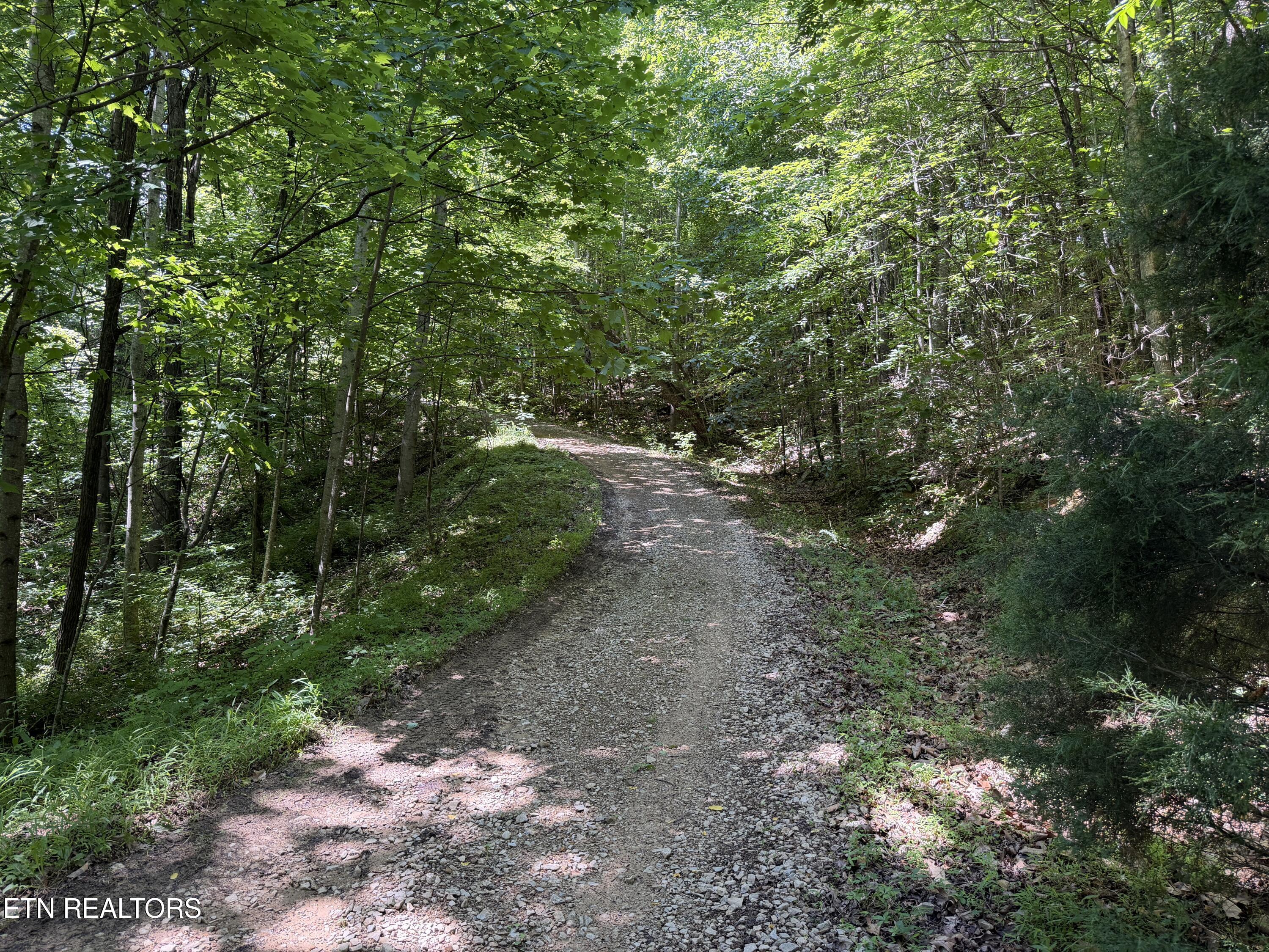 Mountain Road Caryville TN 37714