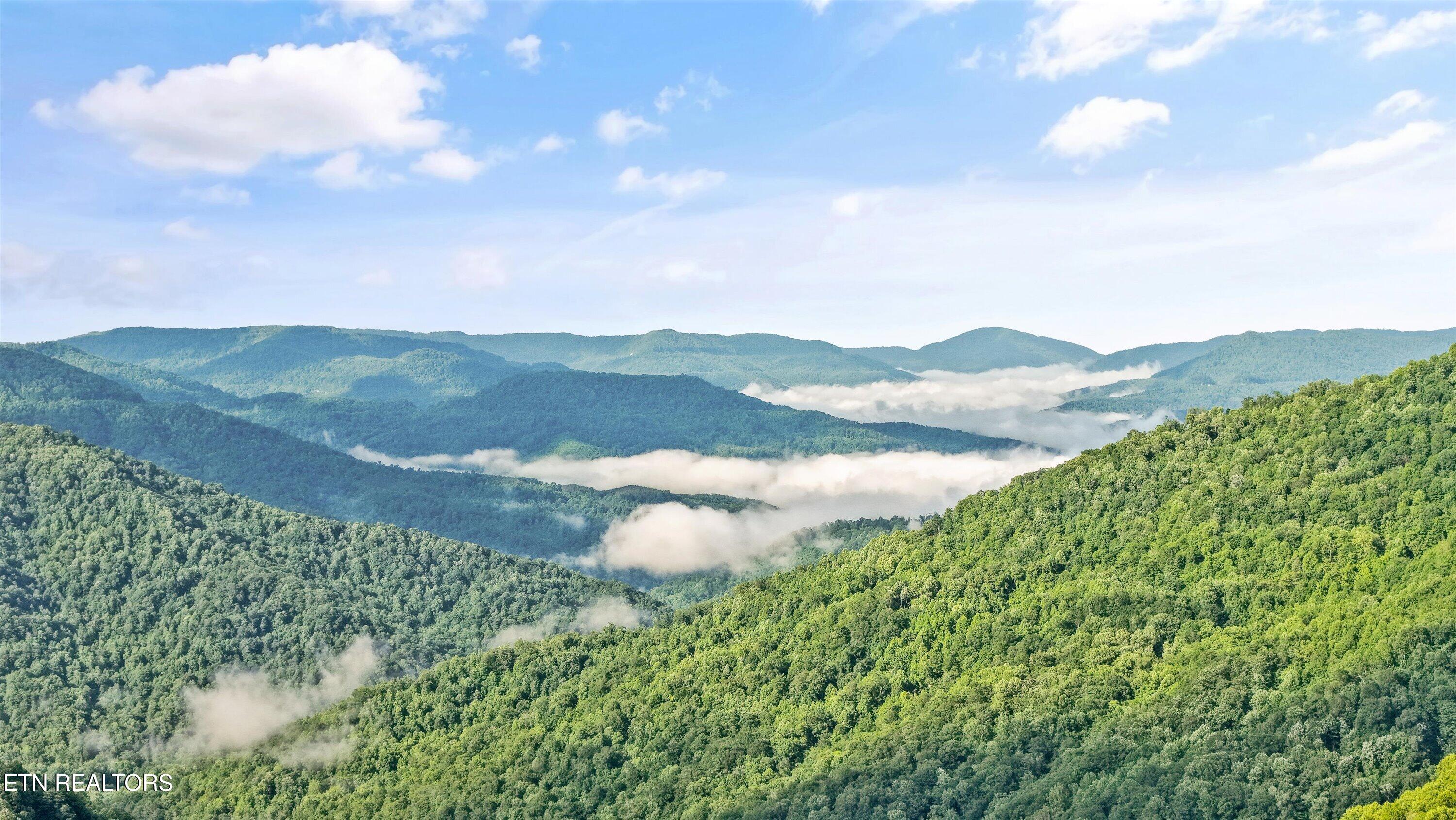 Mountain Road Caryville TN 37714