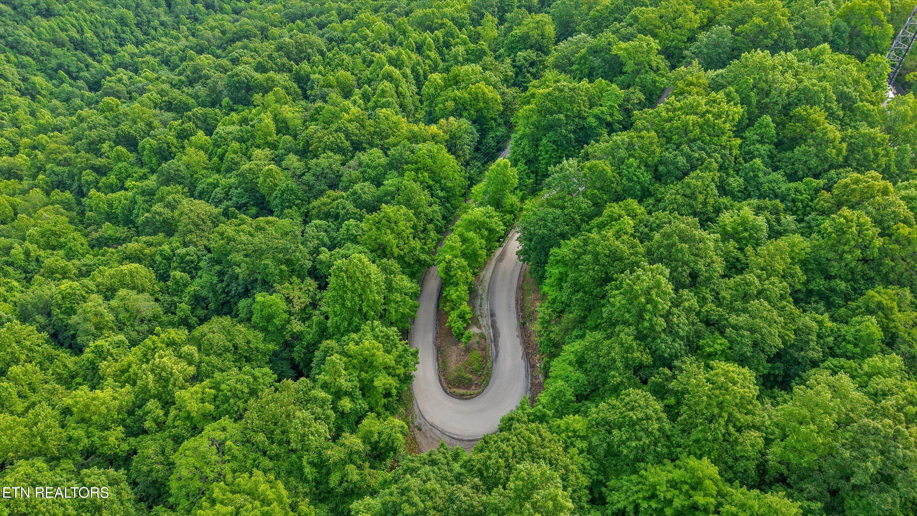 Mountain Road Caryville TN 37714