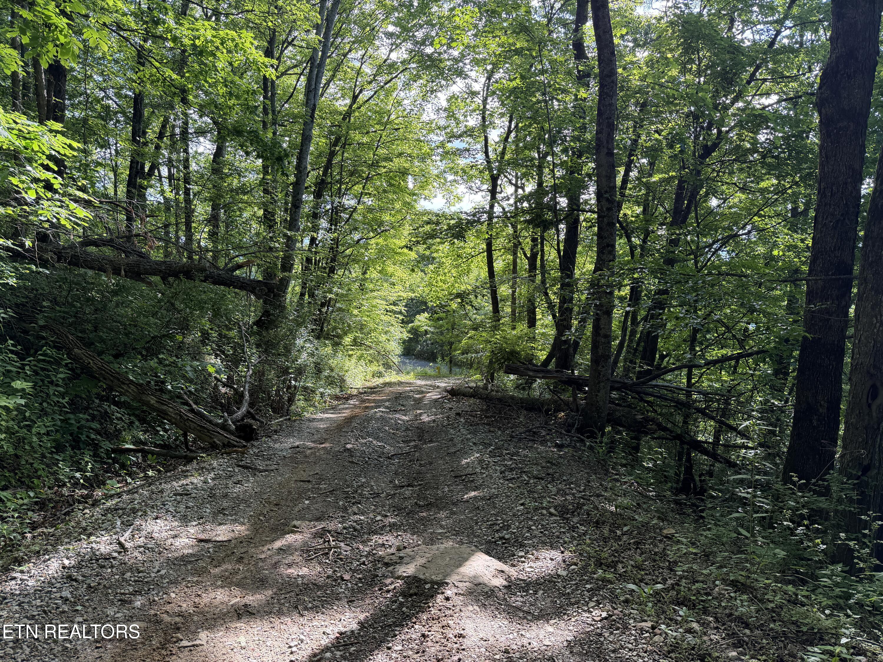 Mountain Road Caryville TN 37714