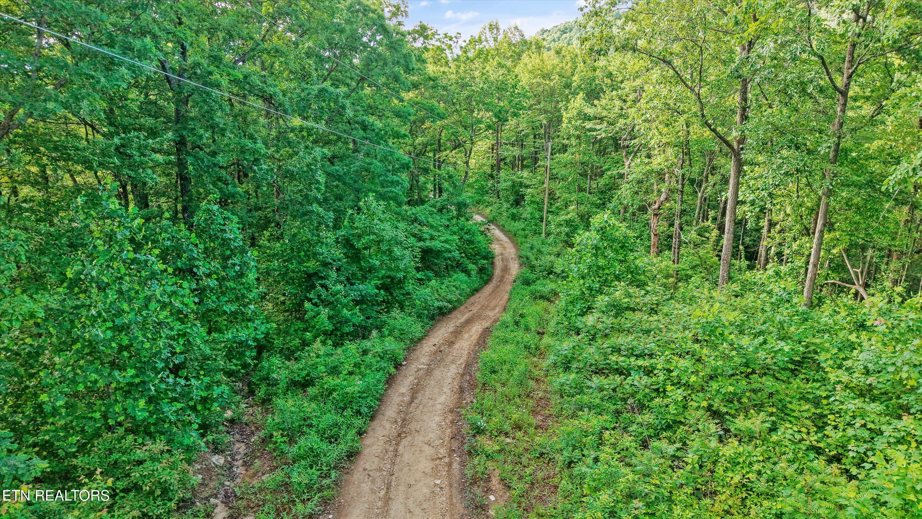 Mountain Road Caryville TN 37714