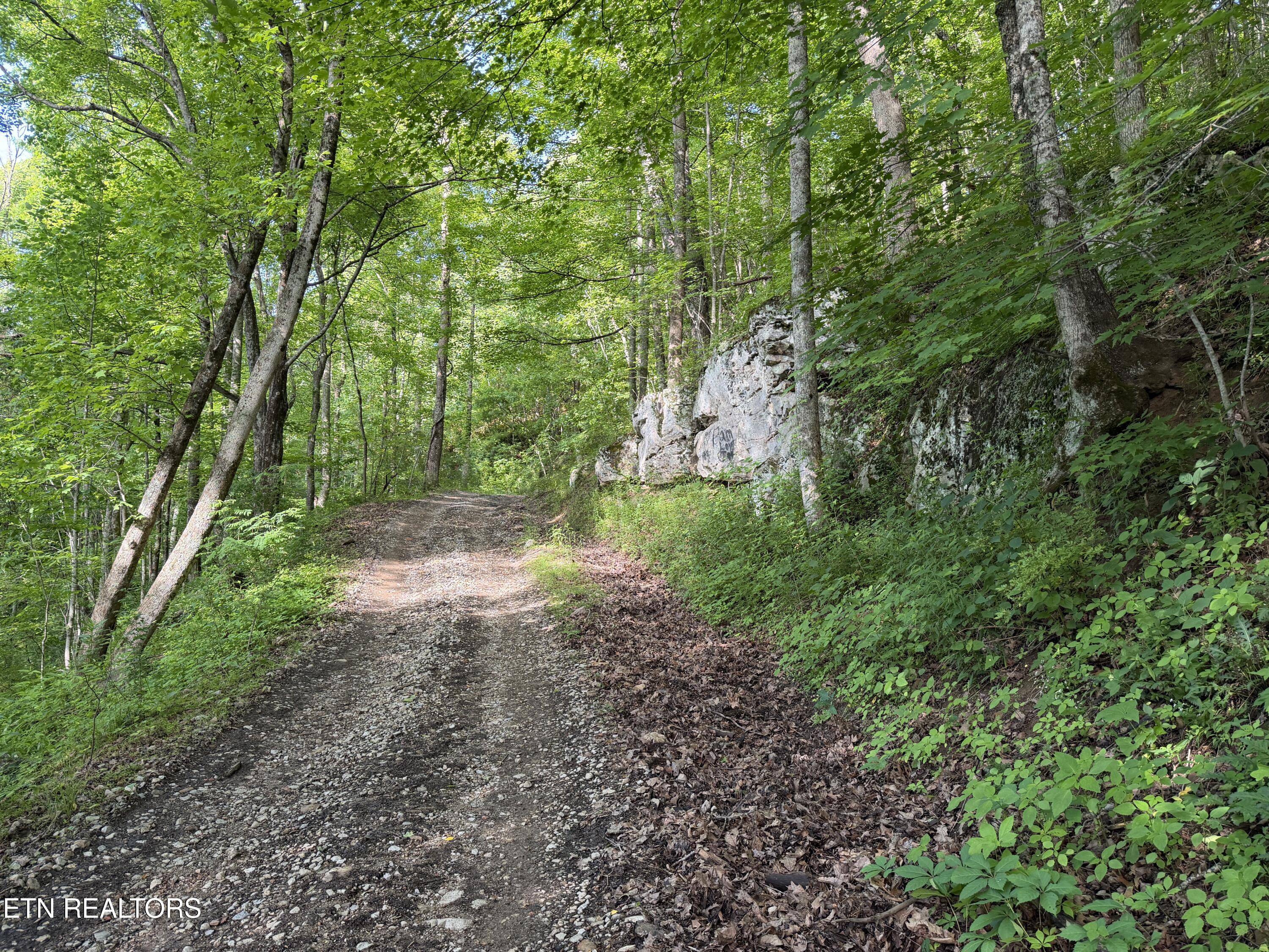 Mountain Road Caryville TN 37714