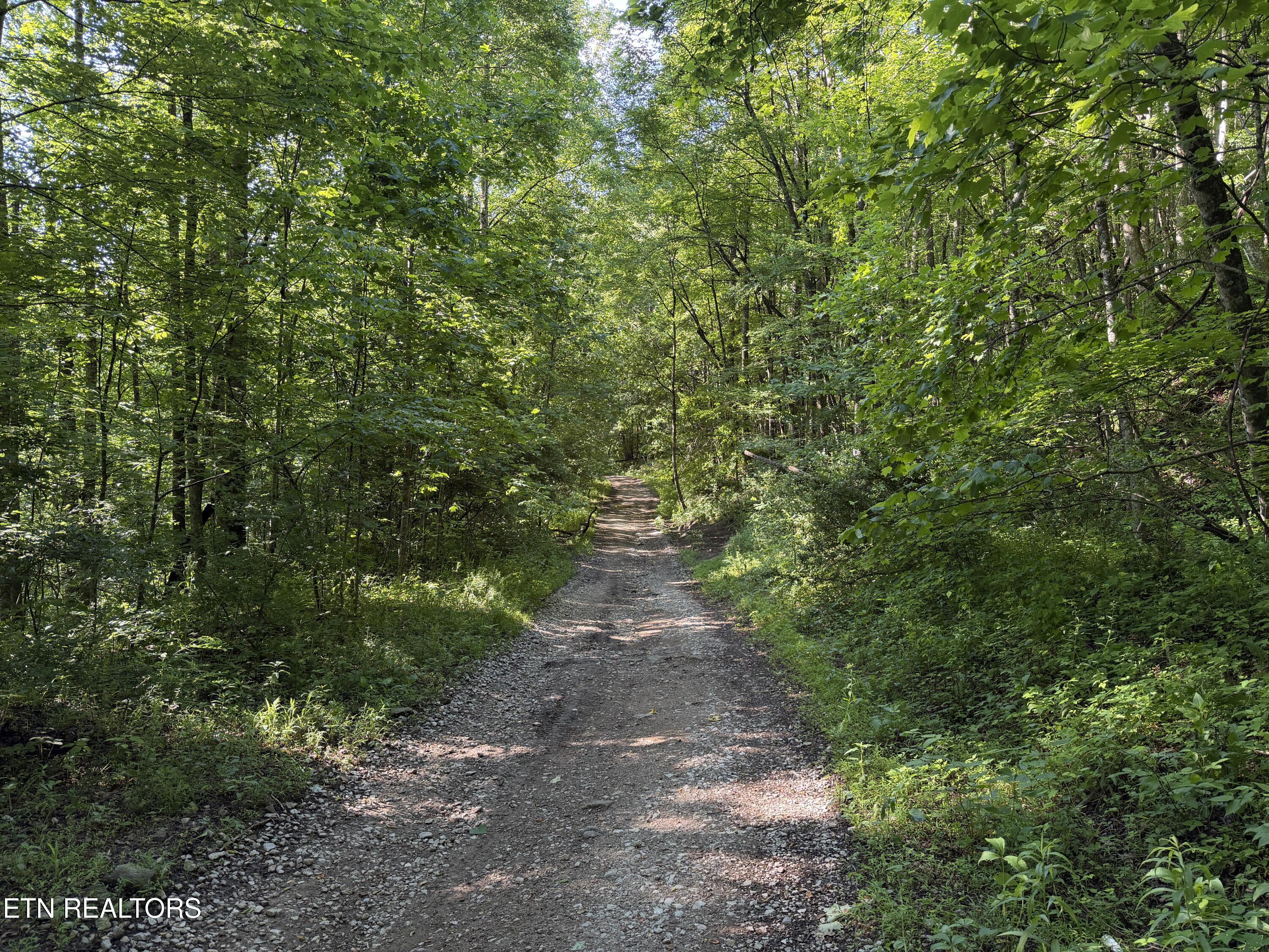Mountain Road Caryville TN 37714