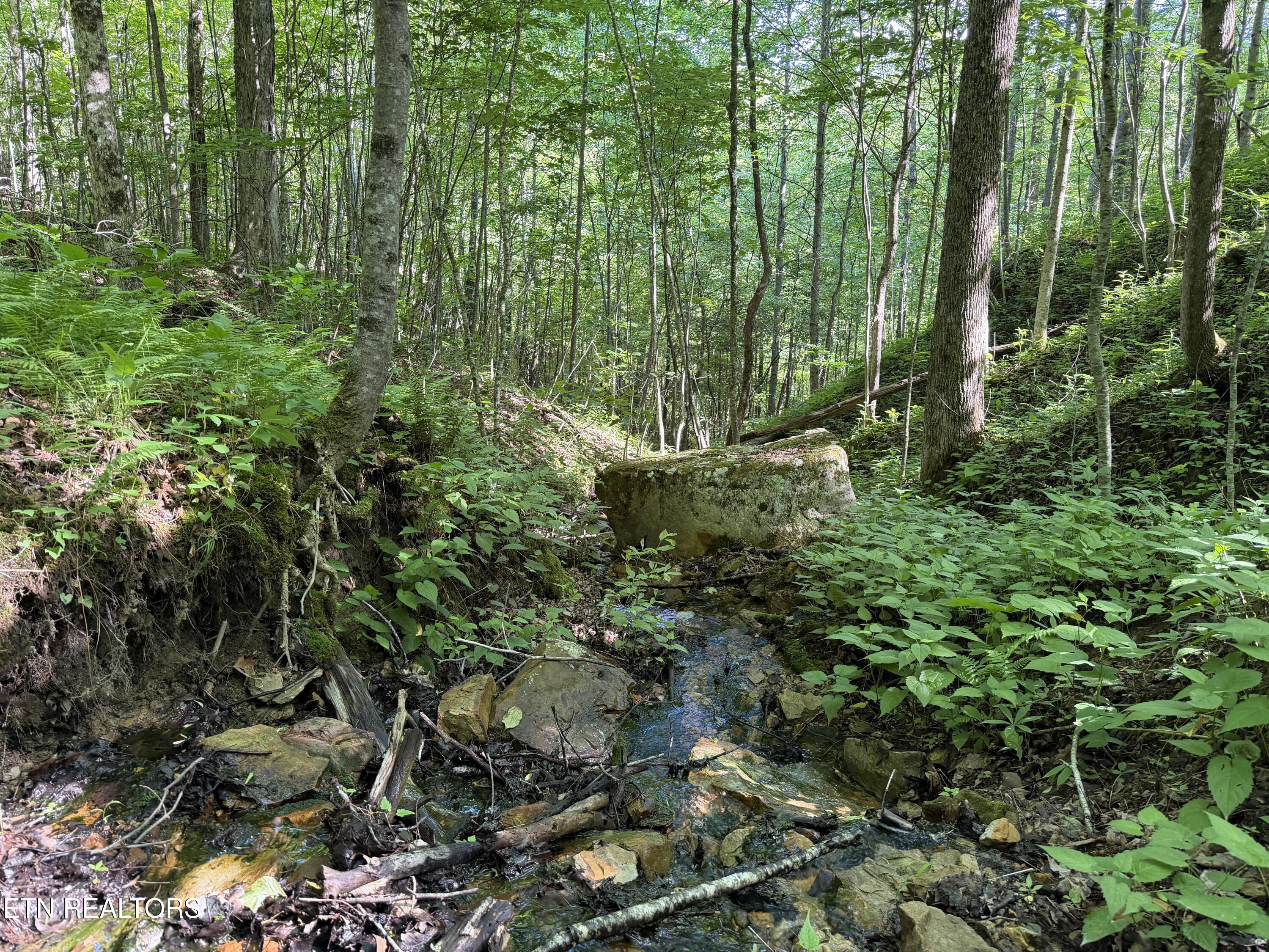 Mountain Road Caryville TN 37714