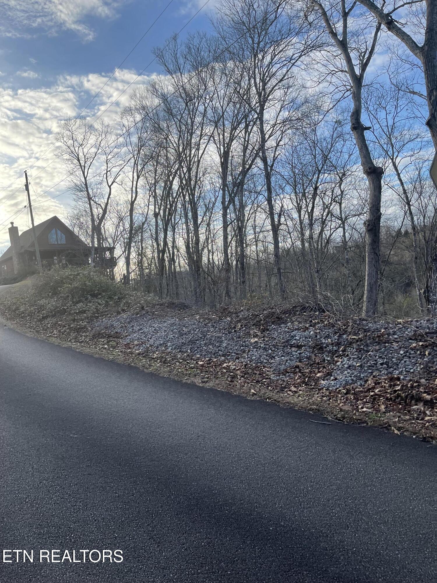 Lot 65 Wingspan Sevierville TN 37862