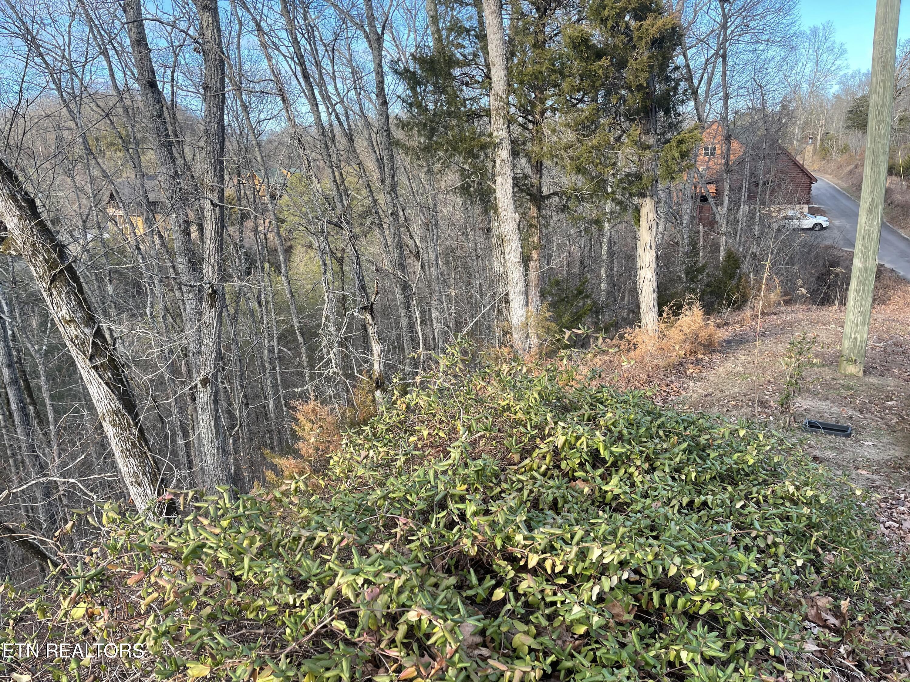 Lot 65 Wingspan Sevierville TN 37862