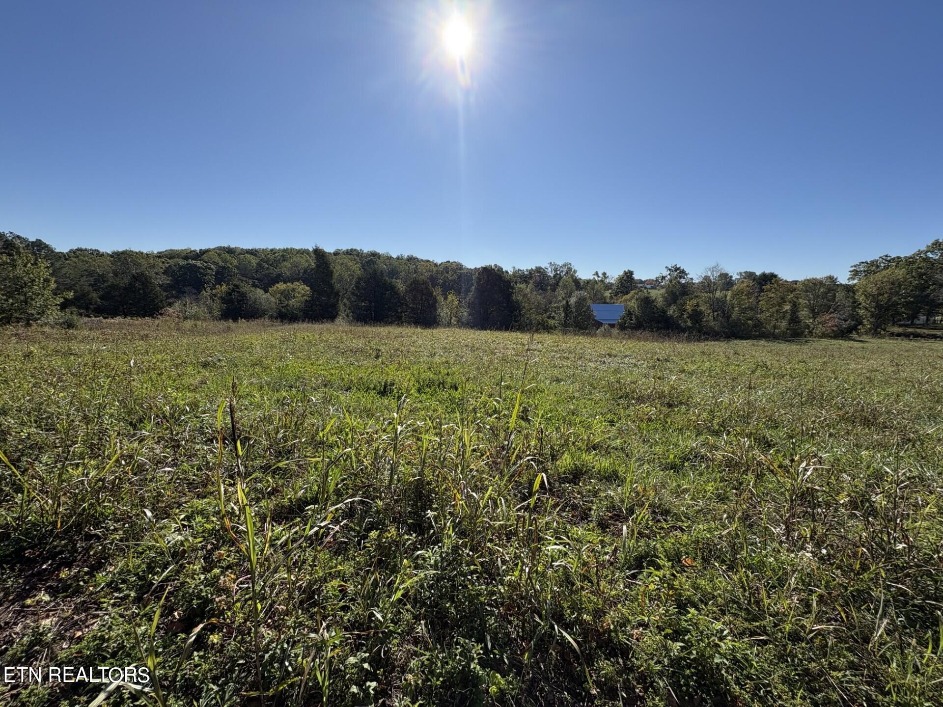 166 Copenhaver Road Lenoir City TN 37771